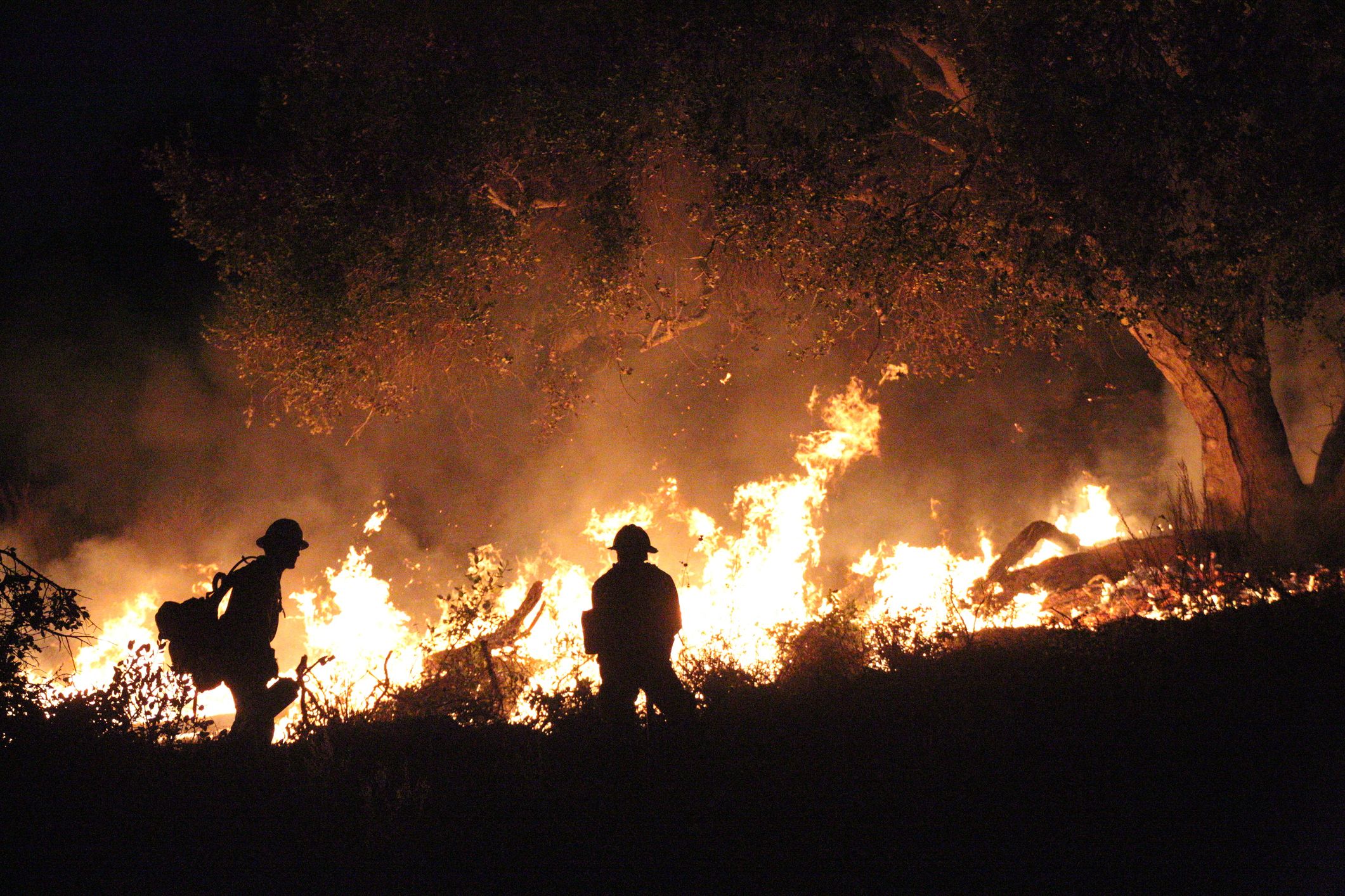 Beinahe jedes Jahr kommt es in Los Angeles zu verheerenden Waldbränden. 