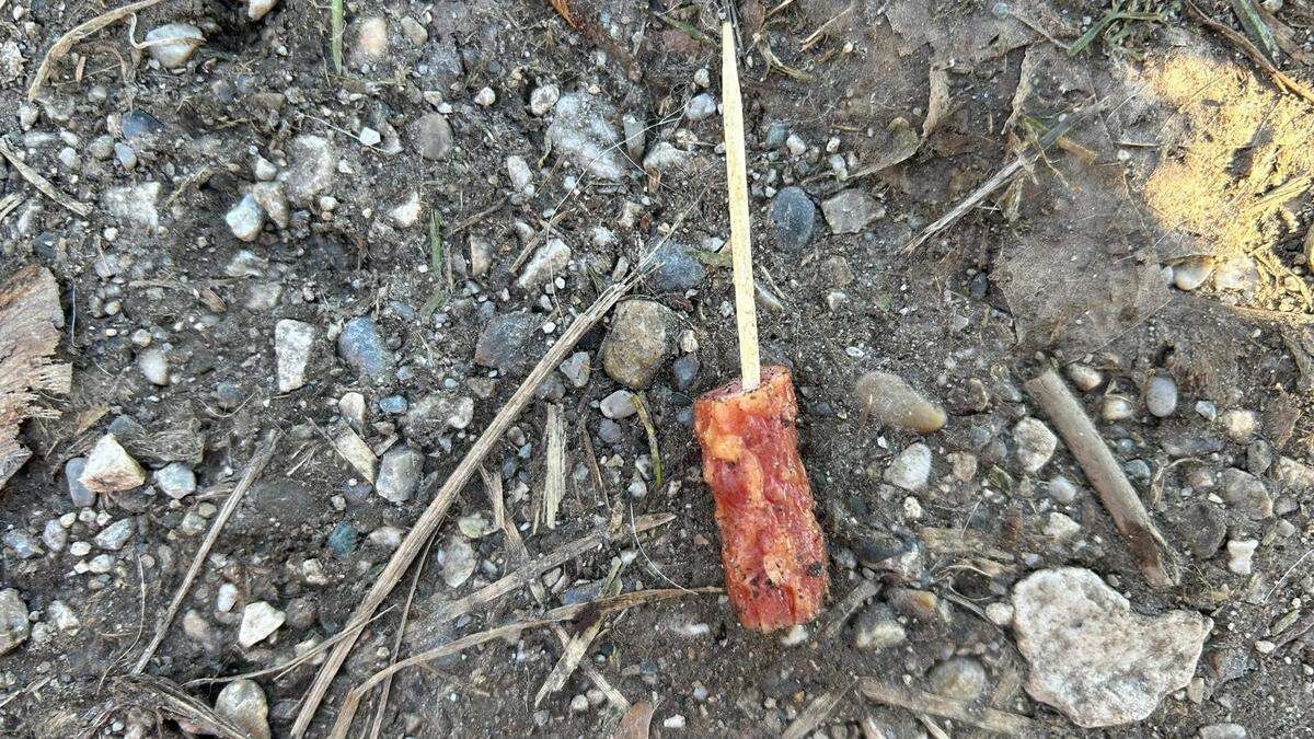 Die Frau hatte in der Hundezone mehrere präparierte Würstchen gefunden.