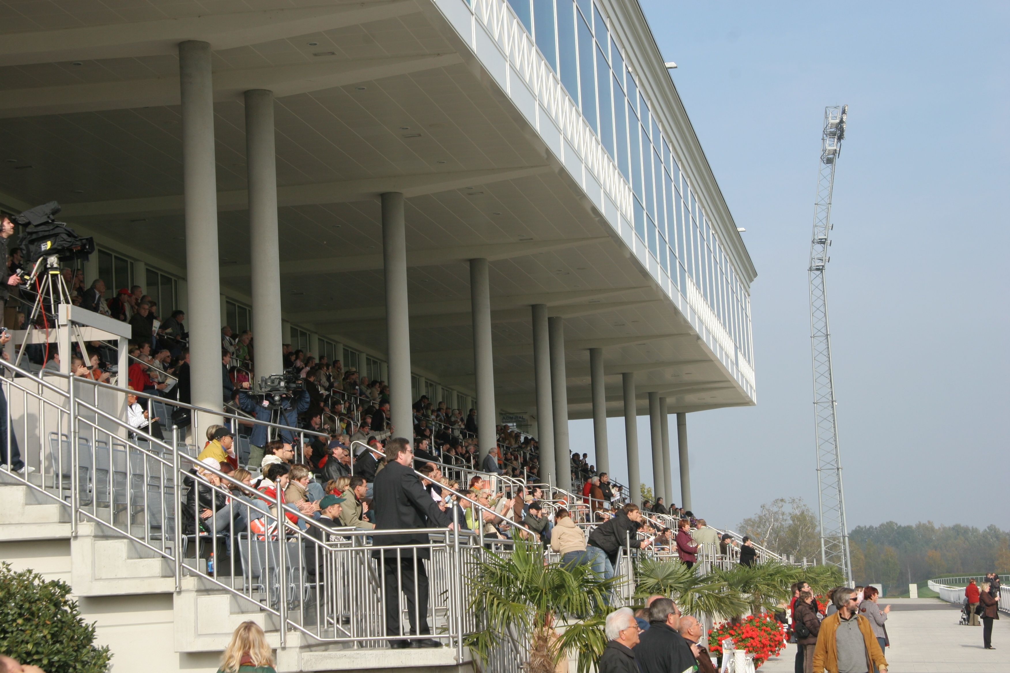 Magna Racino: Symbolbild eines Pferderennens