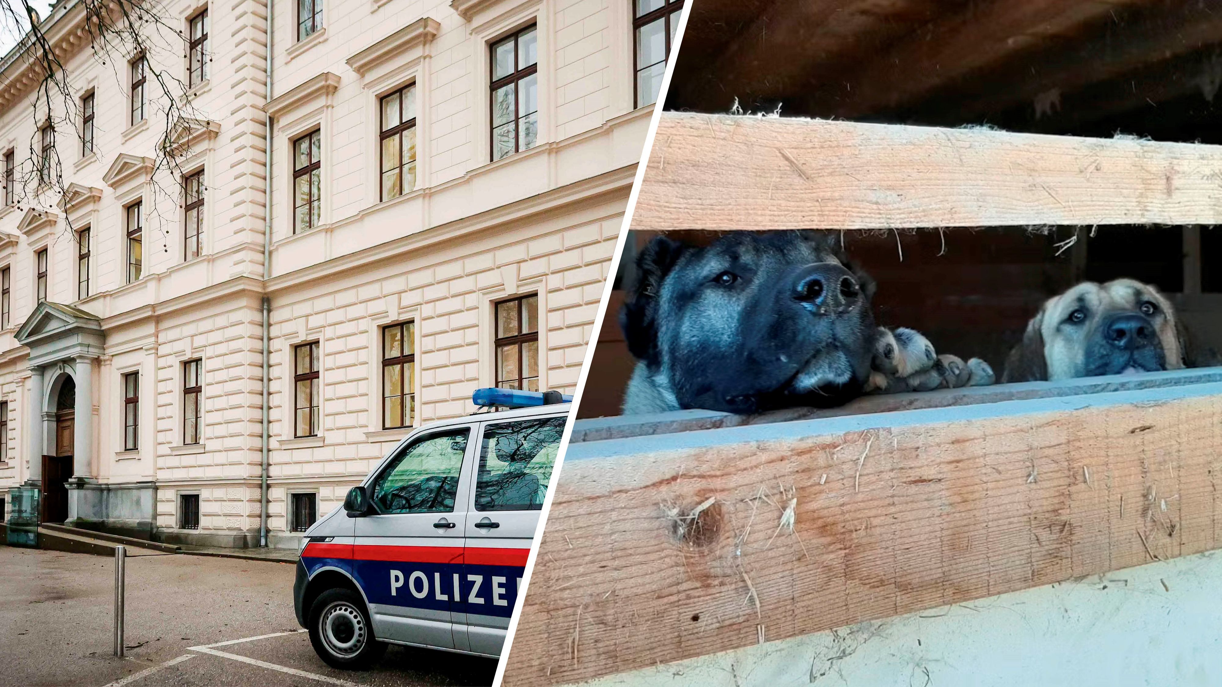 Drei Angeklagte müssen sich nach den verheerenden Zuständen am Landesgericht Ried im Innkreis verantworten.