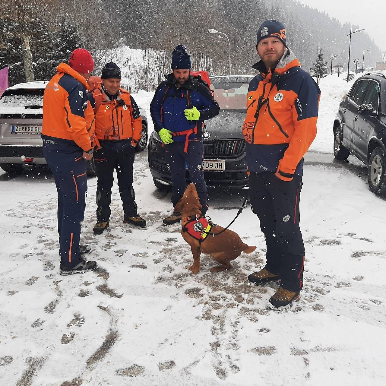 Auch Suchhunde waren im Einsatz.