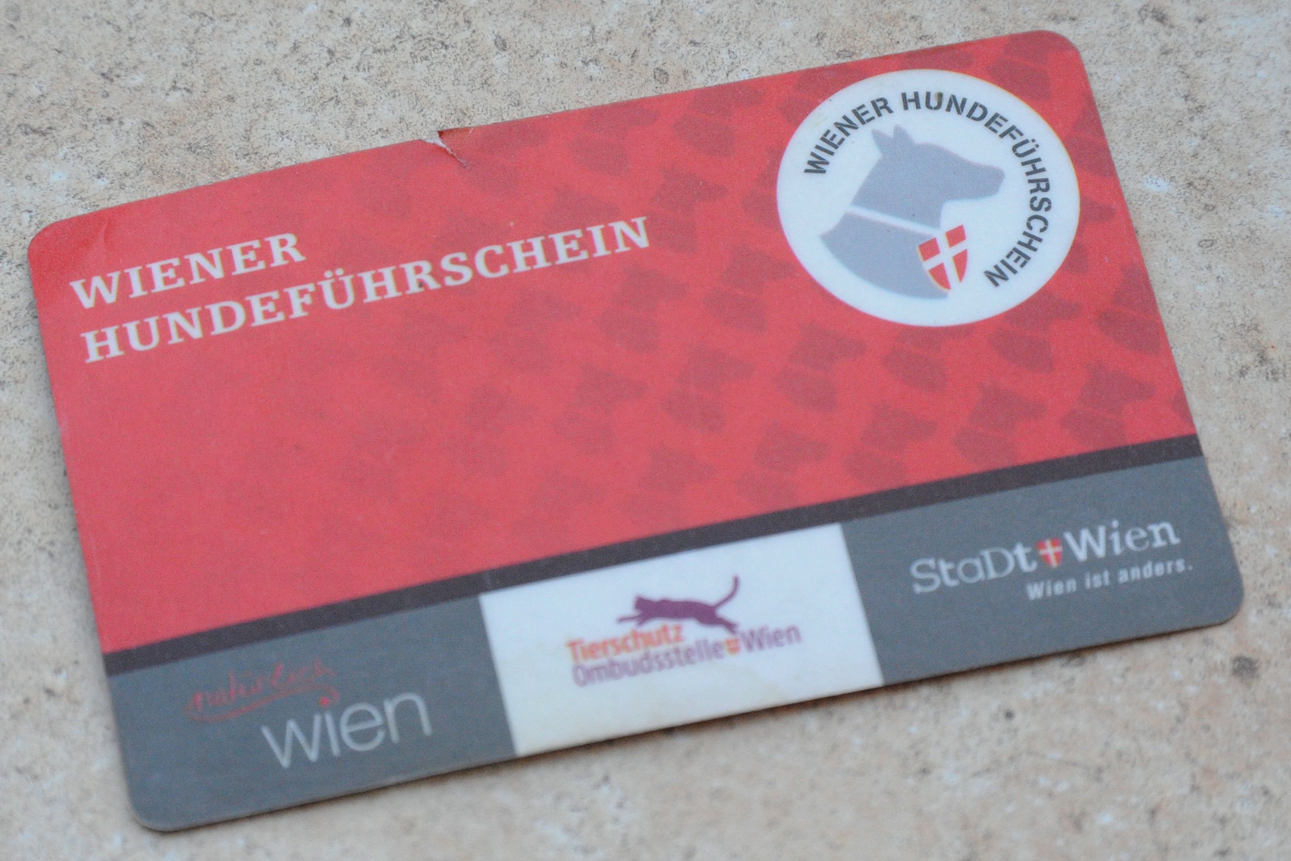 Am 06. Februar 2025 können alle interessierten Hundehalter an einer Veranstaltung zum Thema Hundeführschein teilnehmen.