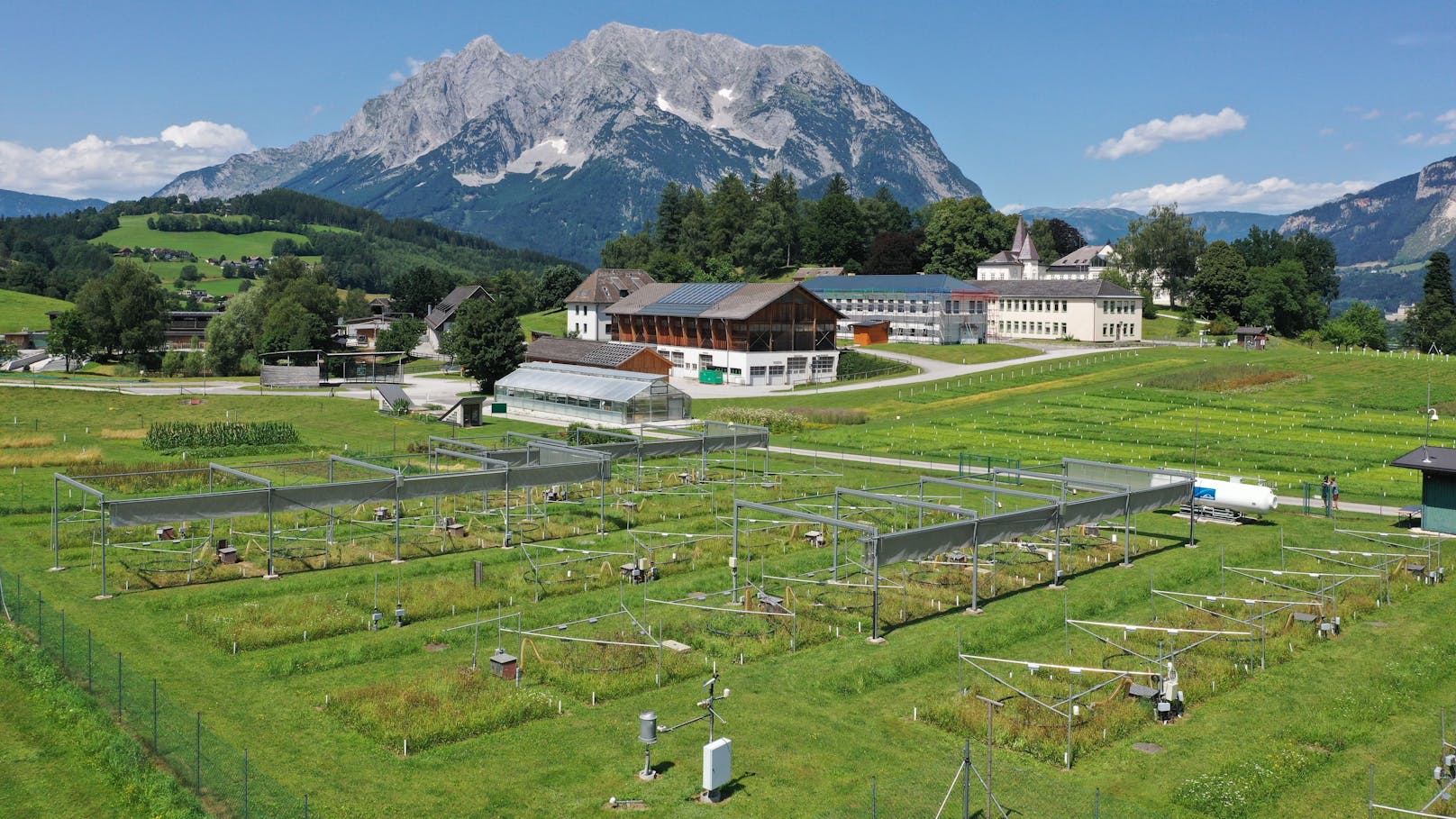 Forscher sehen Gras beim Wachsen zu, finden Schlimmes