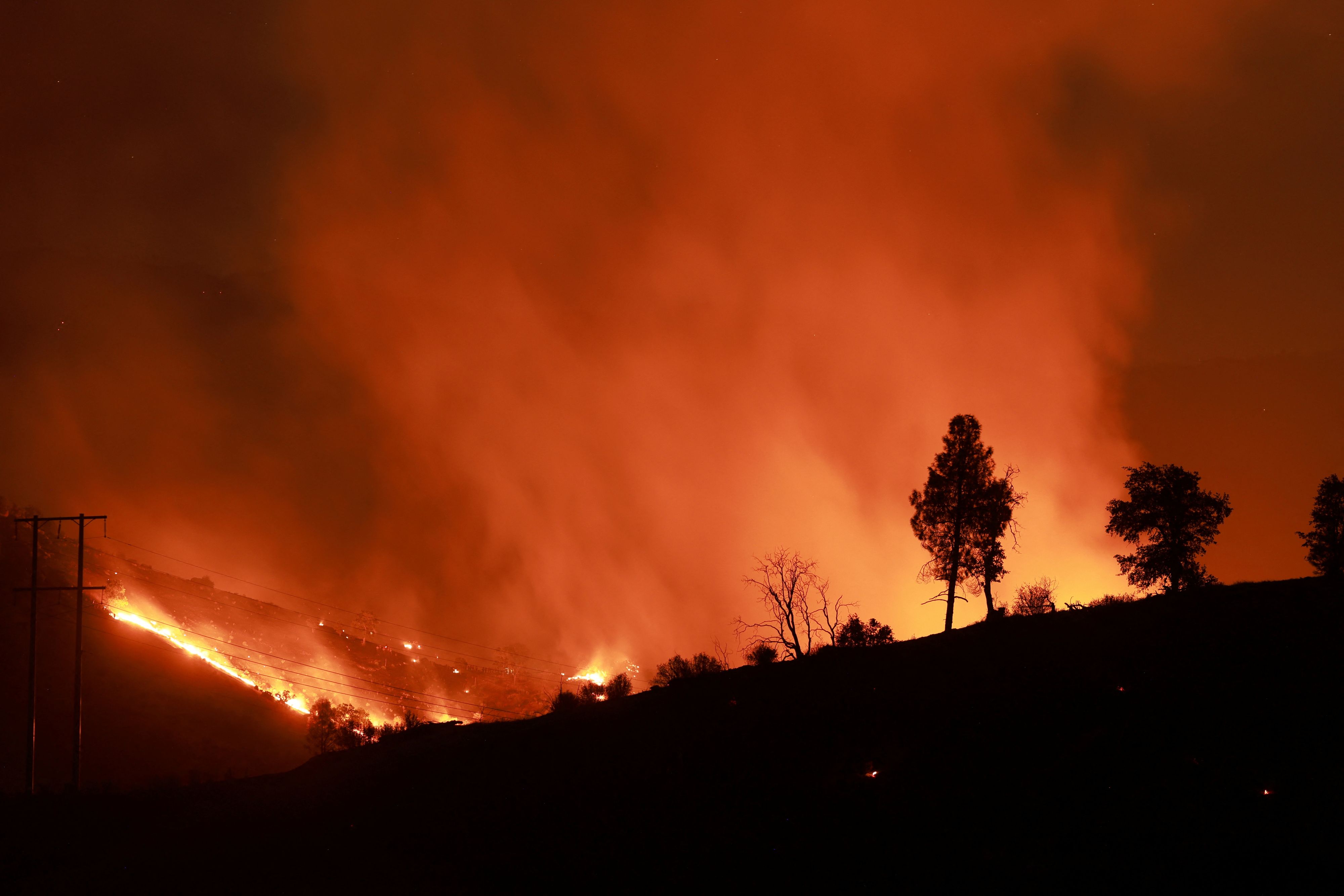 Rekordtemperaturen und hartnäckige Dürren führen weltweit zu infernalischen Bränden.