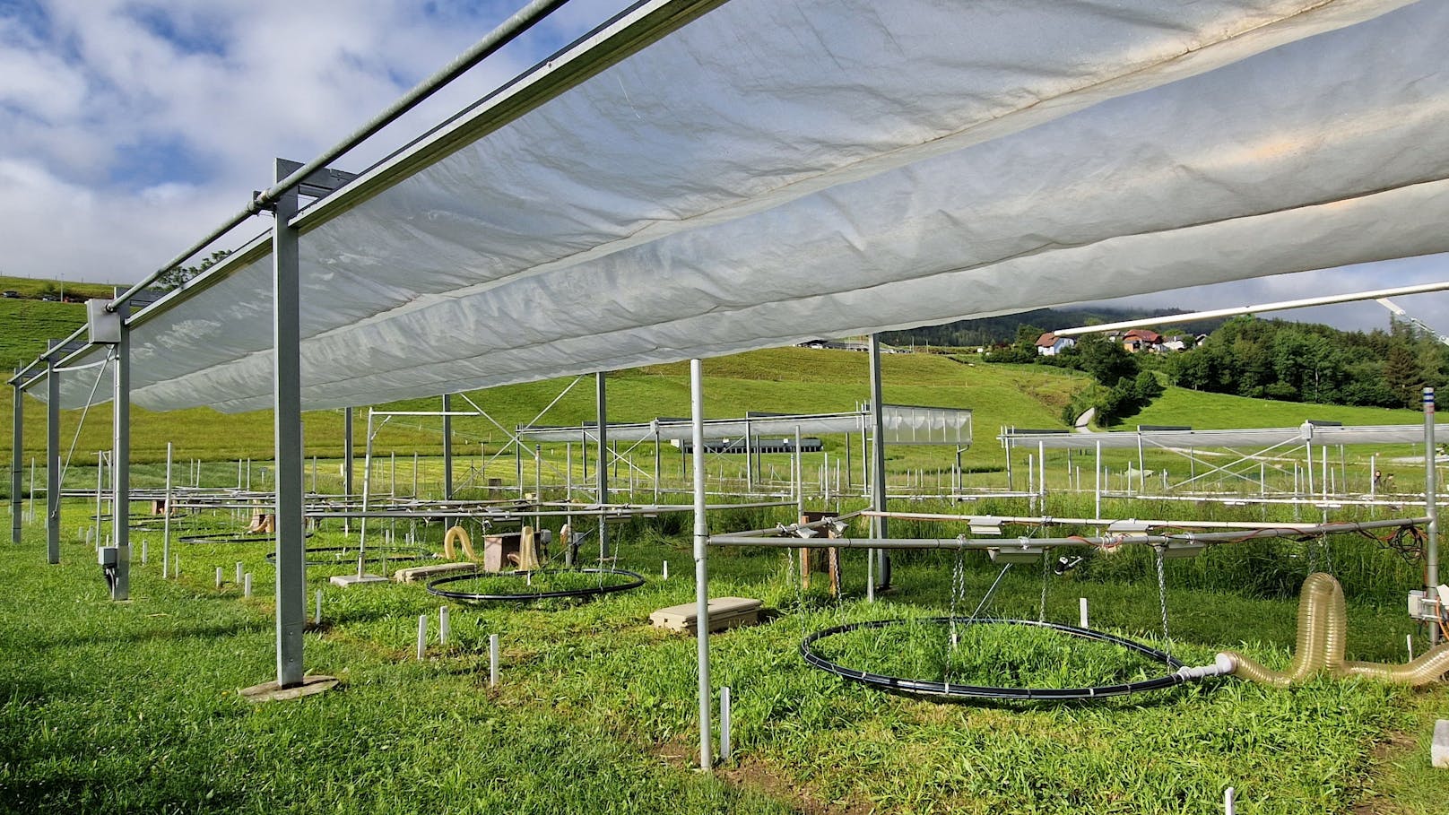 Jahrelange Experimente: Auf den Testflächen wurden Experimente unter verschiedenen Bedingungen durchgeführt.