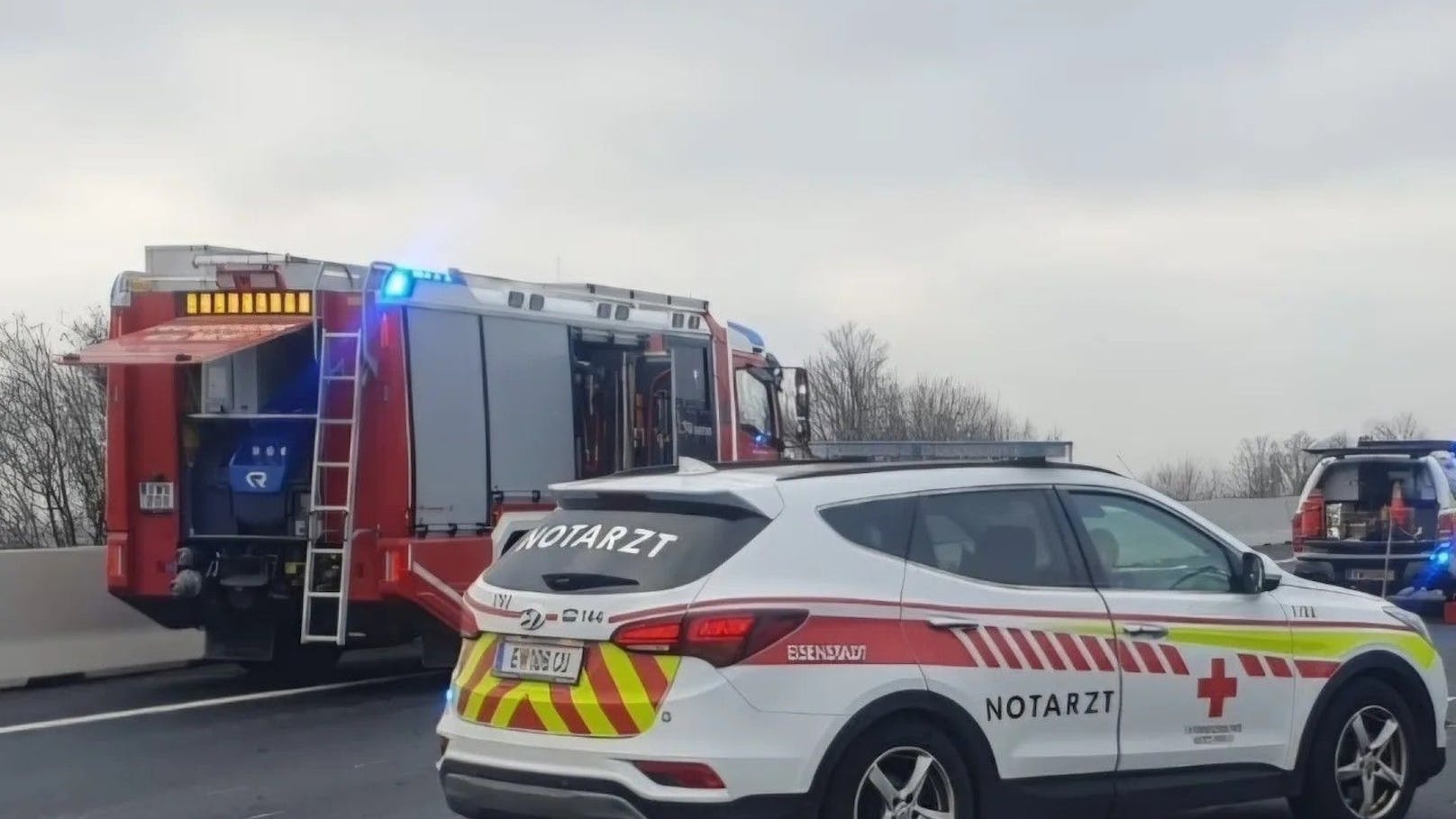 Drama auf der A3 – Pkw-Lenker stirbt nach Wildunfall