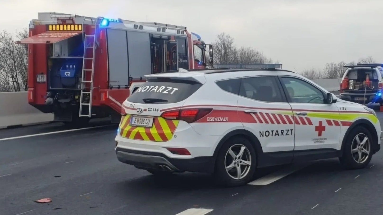 Reh-Crash auf A3! Wiener Lenker machte tödlichen Fehler