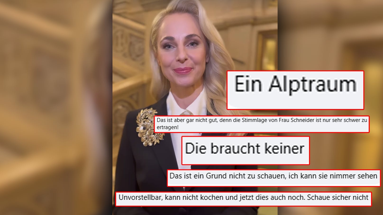 Silvia Schneider wird auf Social Media zutiefst beleidigt. Die Leute gönnen ihr die Aufgabe der Opernball-Moderation überhaupt nicht.