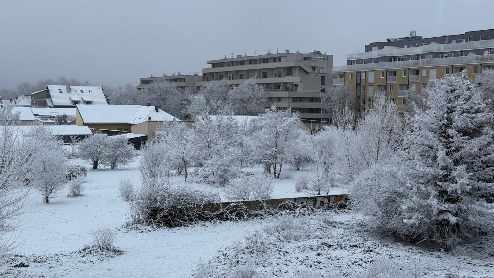 Wetter-Experte packt über Schnee-Phänomen in Wien aus