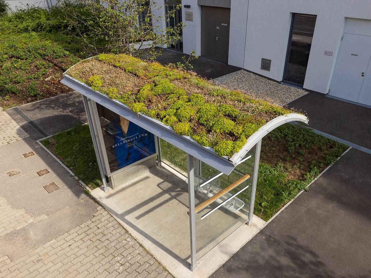 Das Wartehäuschen bei der Busstation Atzgersdorfer Straße wurde begrünt.