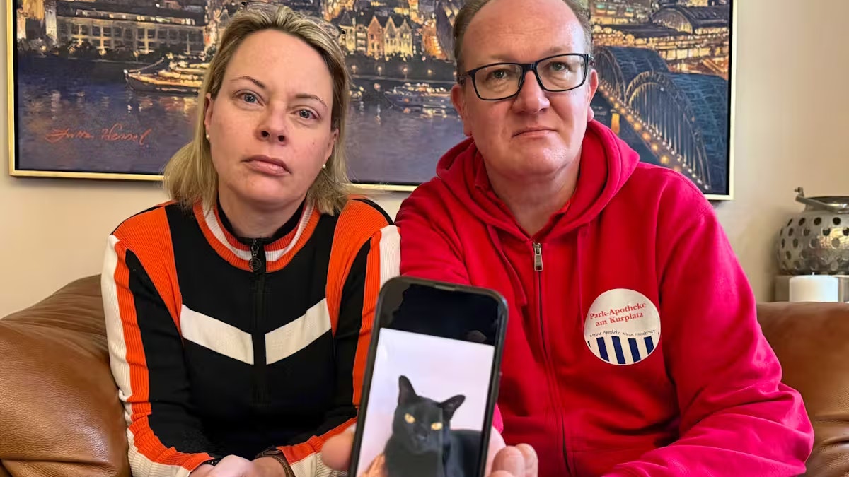 Catharina Majert und ihr Mann Gunnar zeigen auf einem Smartphone ein Foto ihrer Bombay-Katze Aramis.