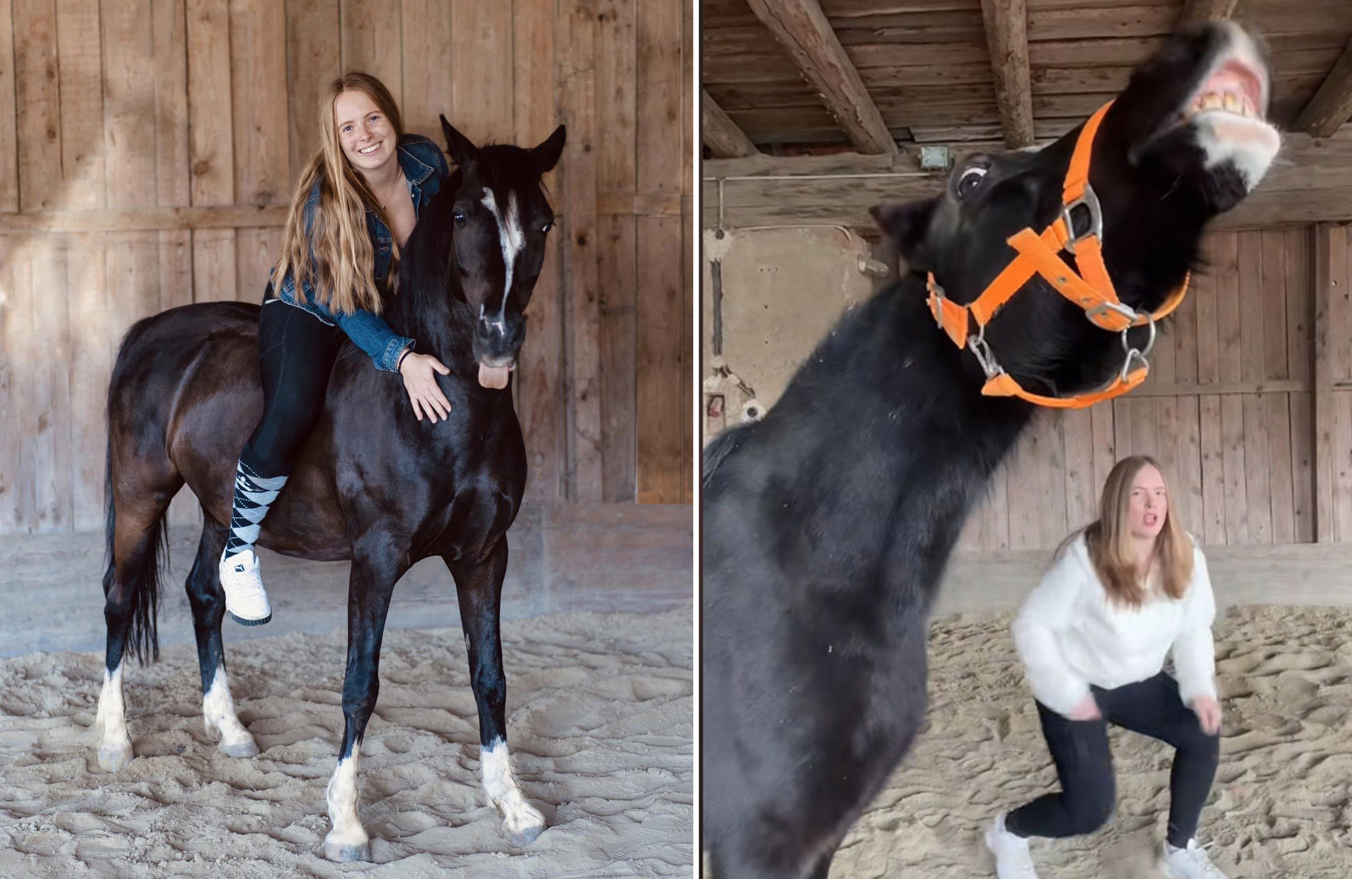 Lara Holzmann und Welsh-Pony 