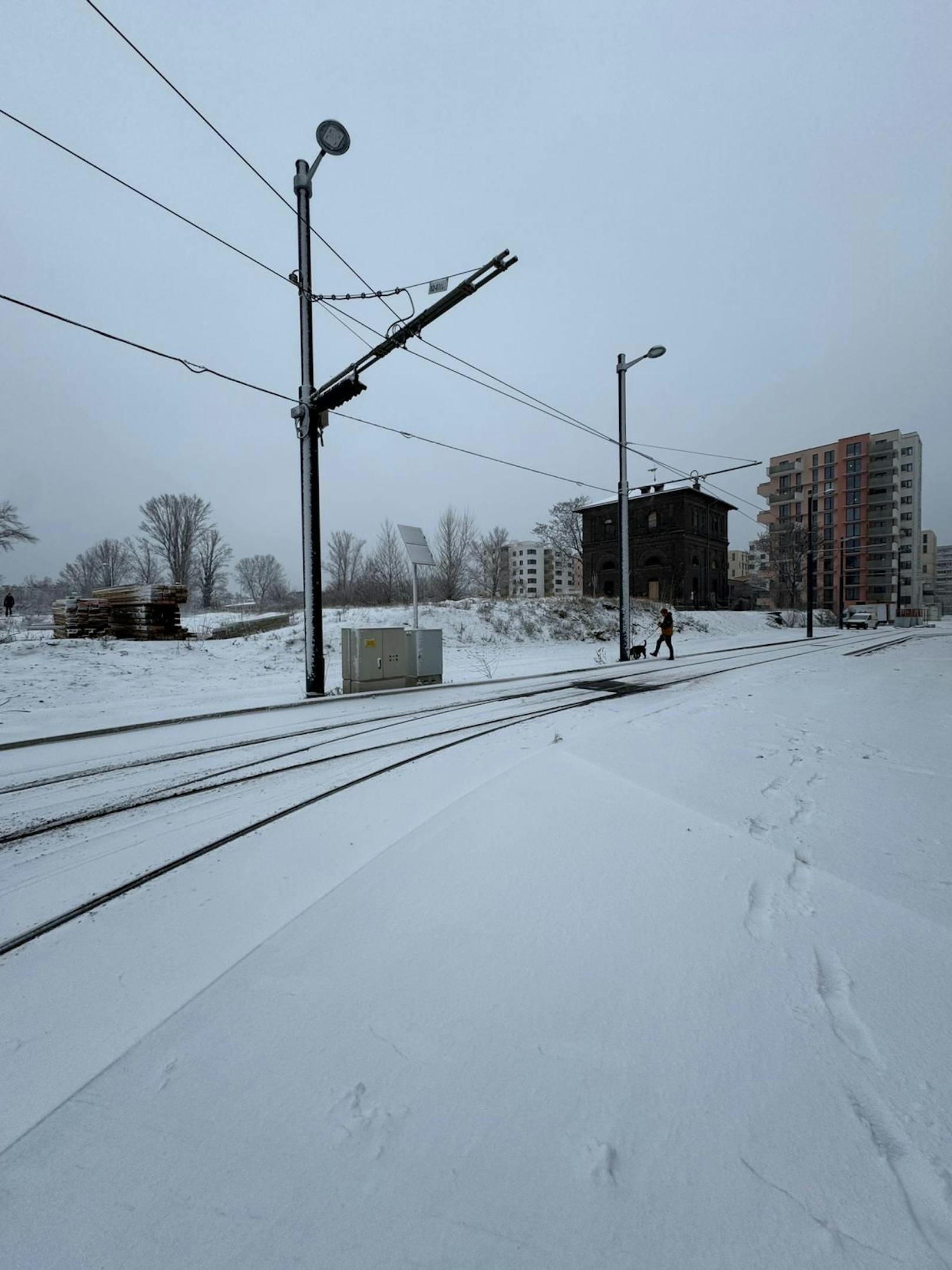 In der Wiener Leopoldstadt hat es in der Nacht geschneit. 