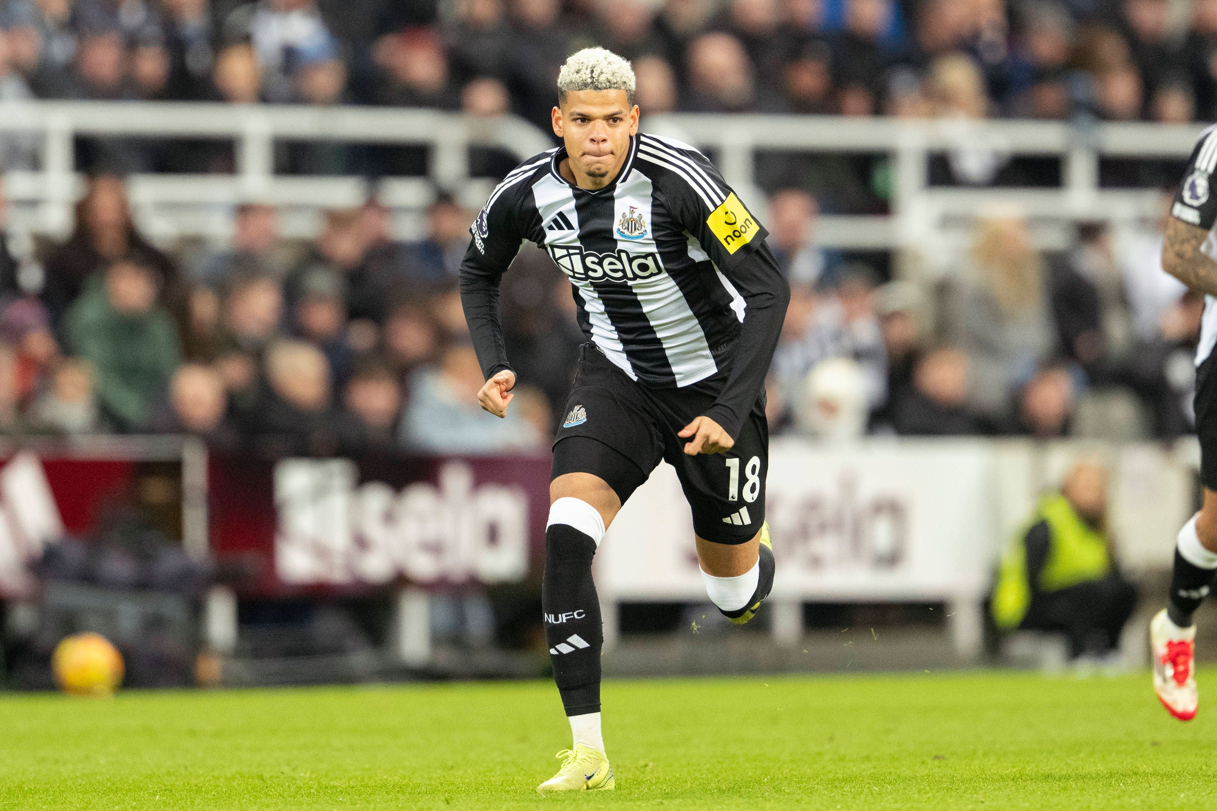 William Osula soll an die Mur kommen.