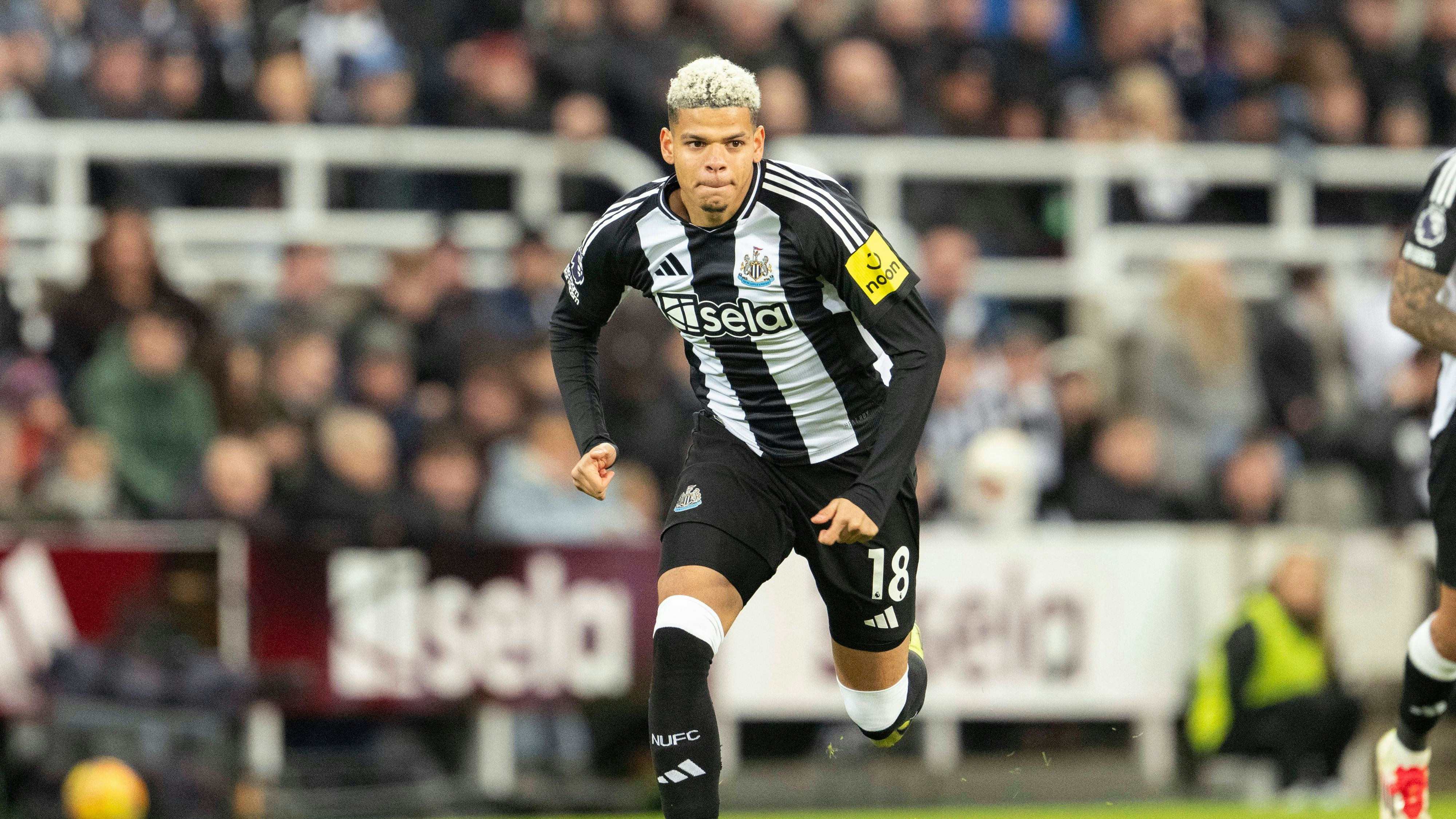 St. James Park NEWCASTLE, ENGLAND - JANUARY 15: William Osula of Newcastle United in action during the Premier League 2024/25 Matchweek 21 match between Newcastle United FC and Wolverhampton Wanderers F.C at St. James Park, on January 15, 2025 in Newcastle, England. Richard Callis / SPP PUBLICATIONxNOTxINxBRAxMEX Copyright: xRichardxCallisx/xSPPx spp-en-RiCa-RC5_Newcastle_Wolves_15Jan2025_EN061