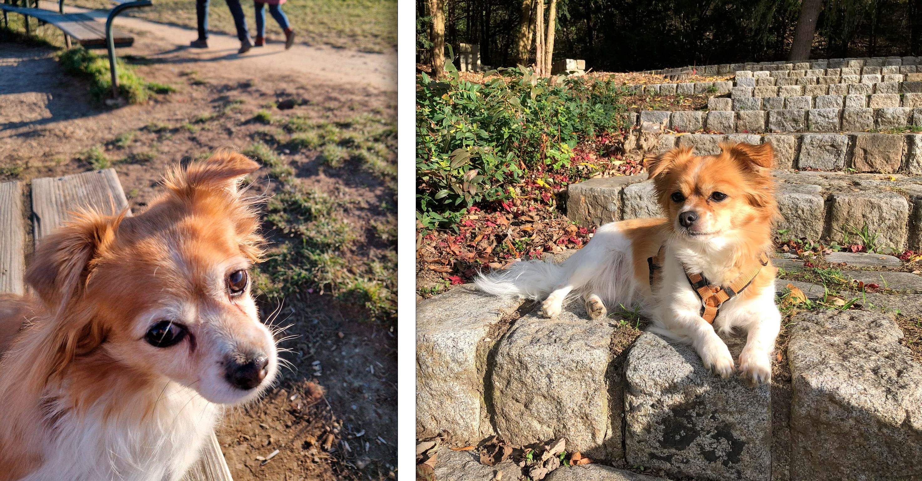 Die kleine Lilly wird in Wien-Favoriten vermisst.