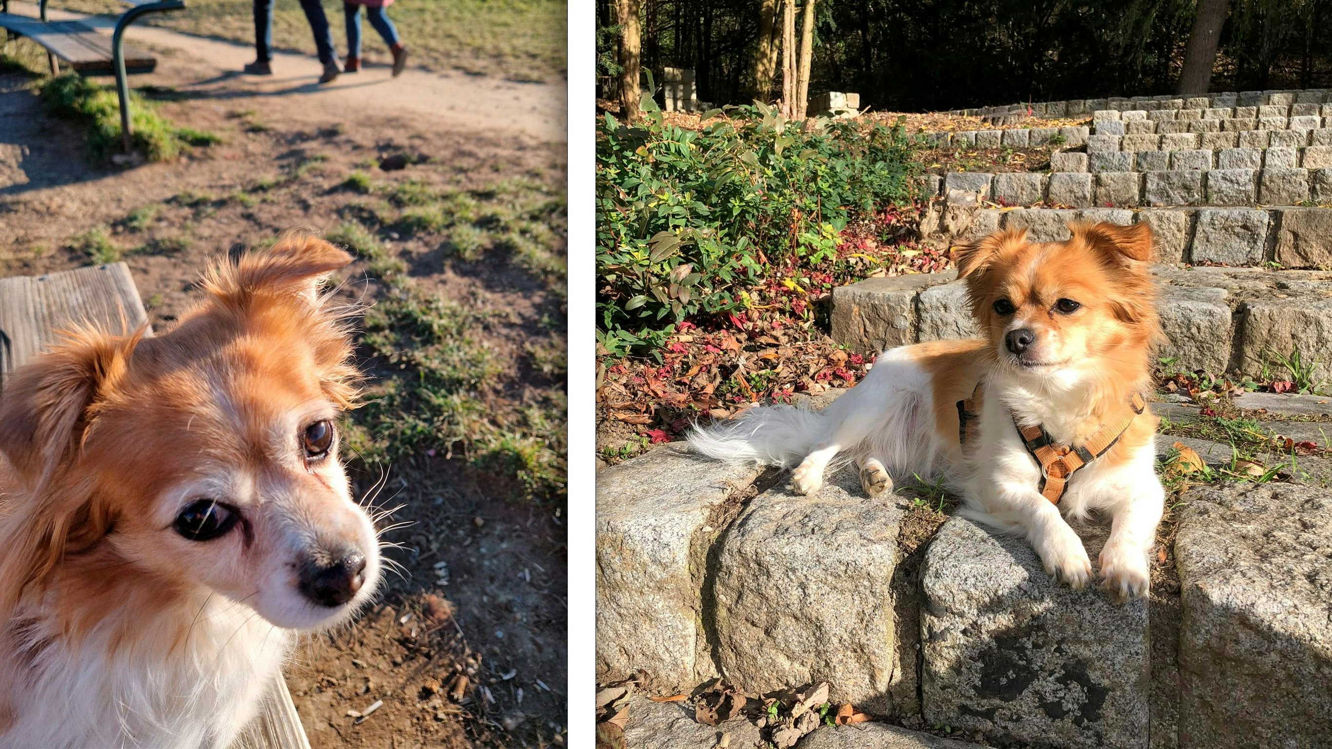 Die kleine Lilly wird in Wien-Favoriten vermisst.