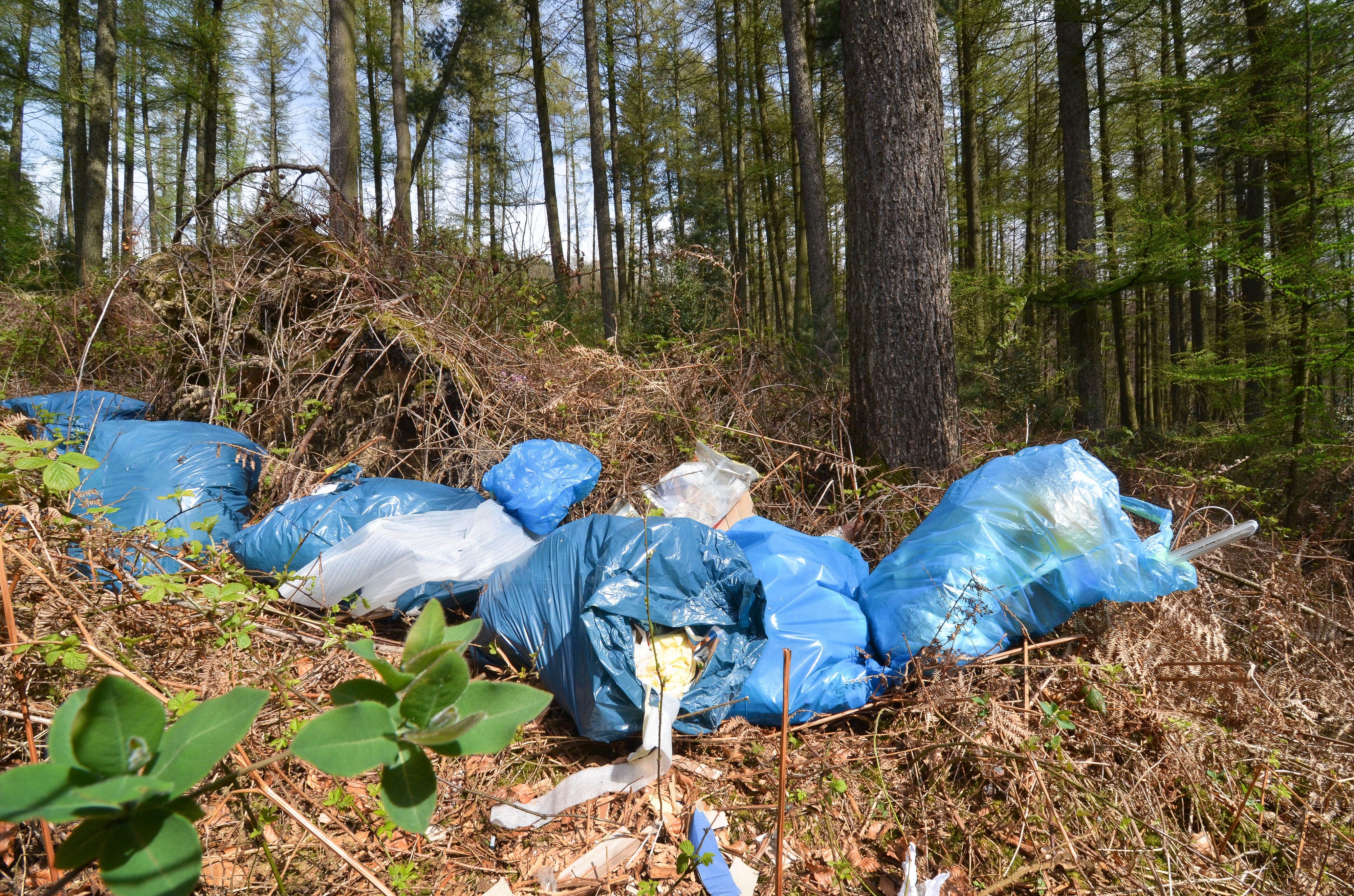 In Spittal an der Drau entsorgte ein Umweltsünder über 200 Müllsäcke in der Natur. Symbolbild.