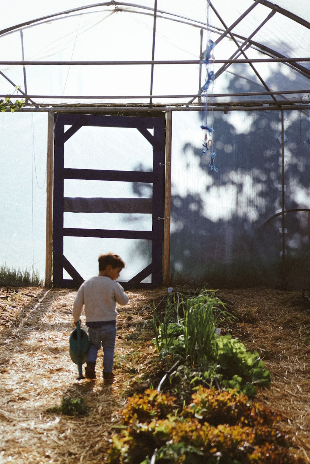 Heute.at - Woher unsere Lebensmittel stammen