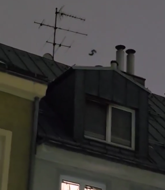 Das vermeintliche Ufo entpuppte sich als Luftballon.