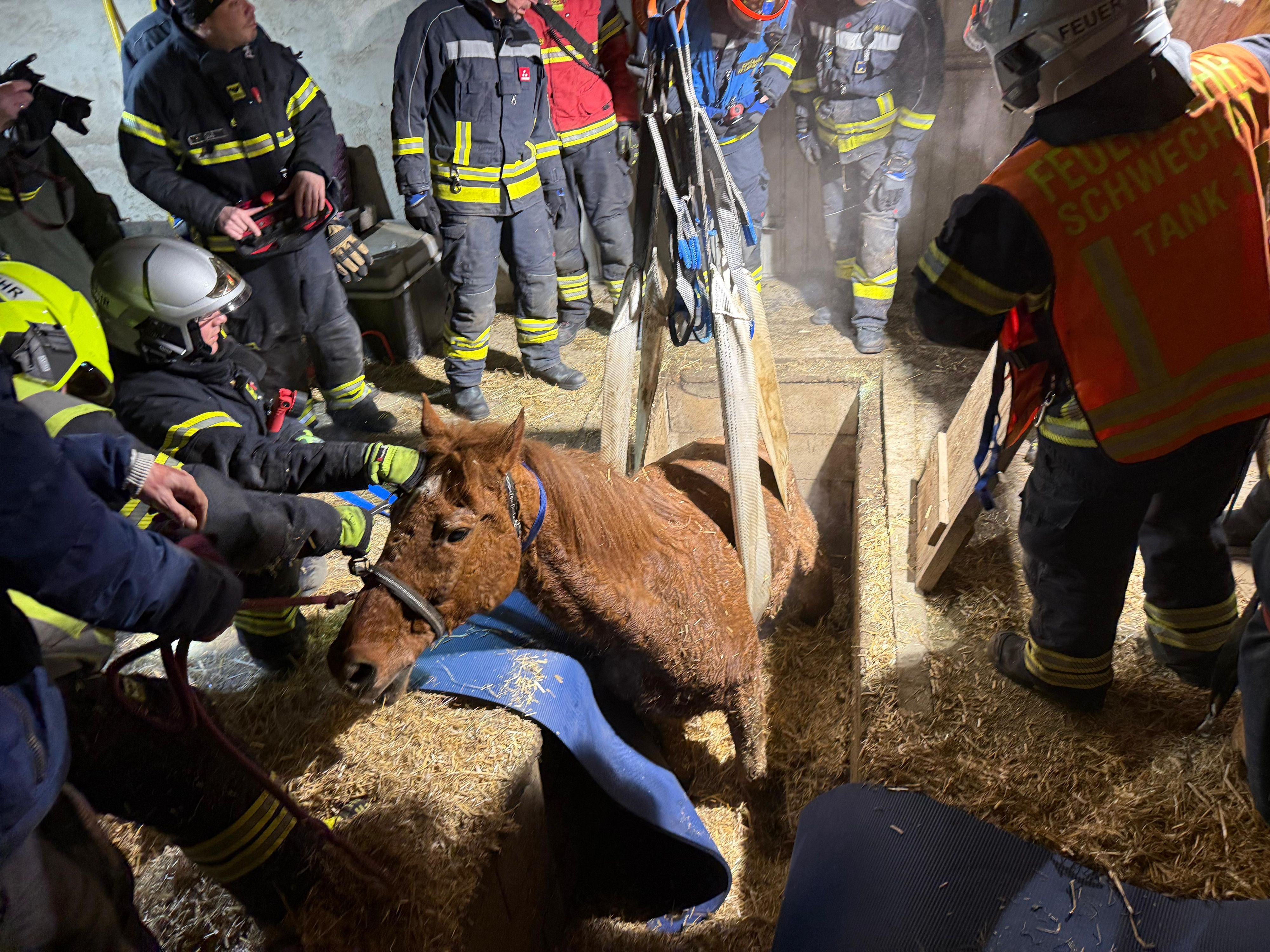 Das Pferd konnte geborgen werden, starb aber kurze Zeit später.