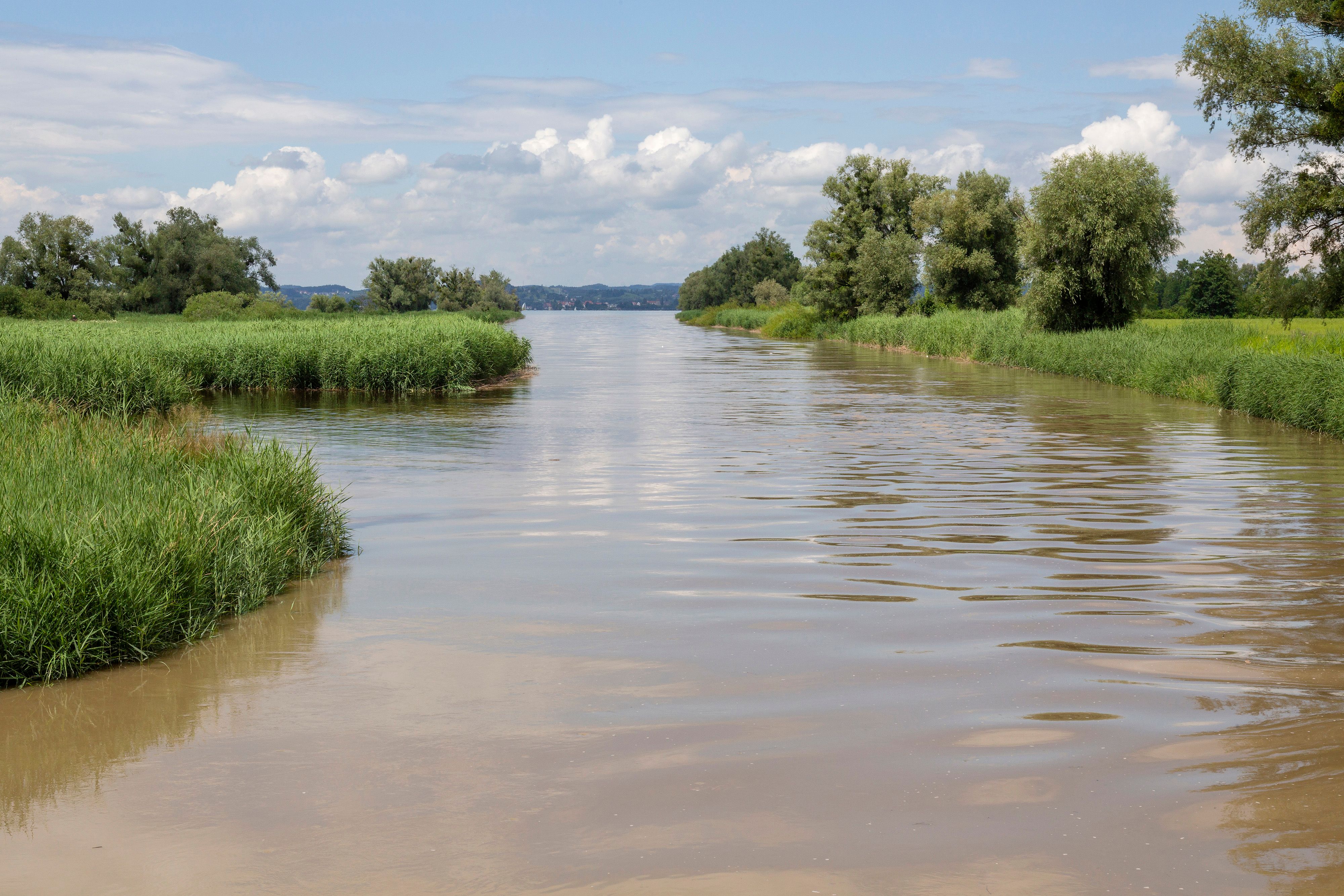 In der Dornbirner Ach wurde am Mittwochvormittag eine Leiche entdeckt. (Symbolbild)