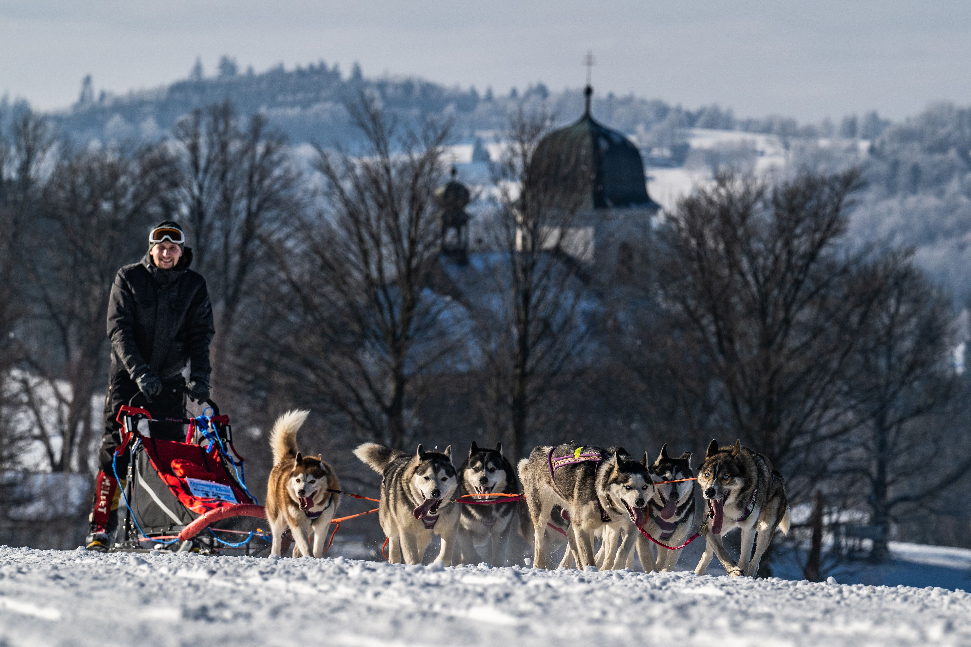 Noch bis zum 25. Jänner findet das sogenannte 