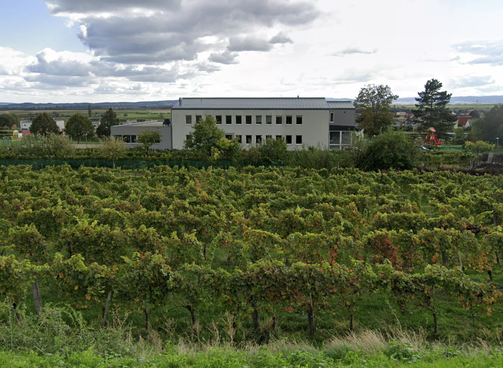 Volksschule Großhöflein: Hier soll der Vorfall stattgefunden habe. 