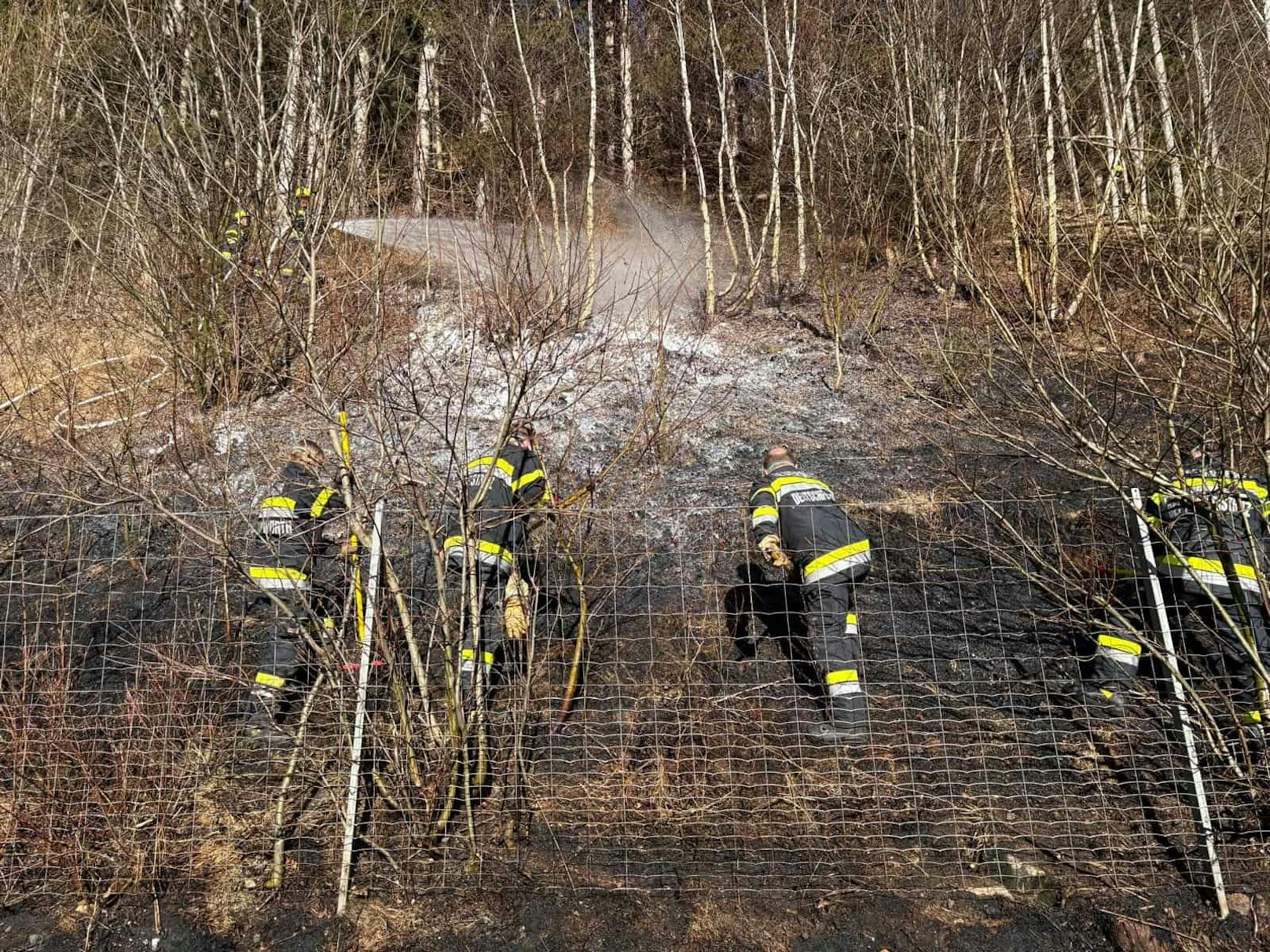 Der benachbarte Wald konnte gesichert werden. 