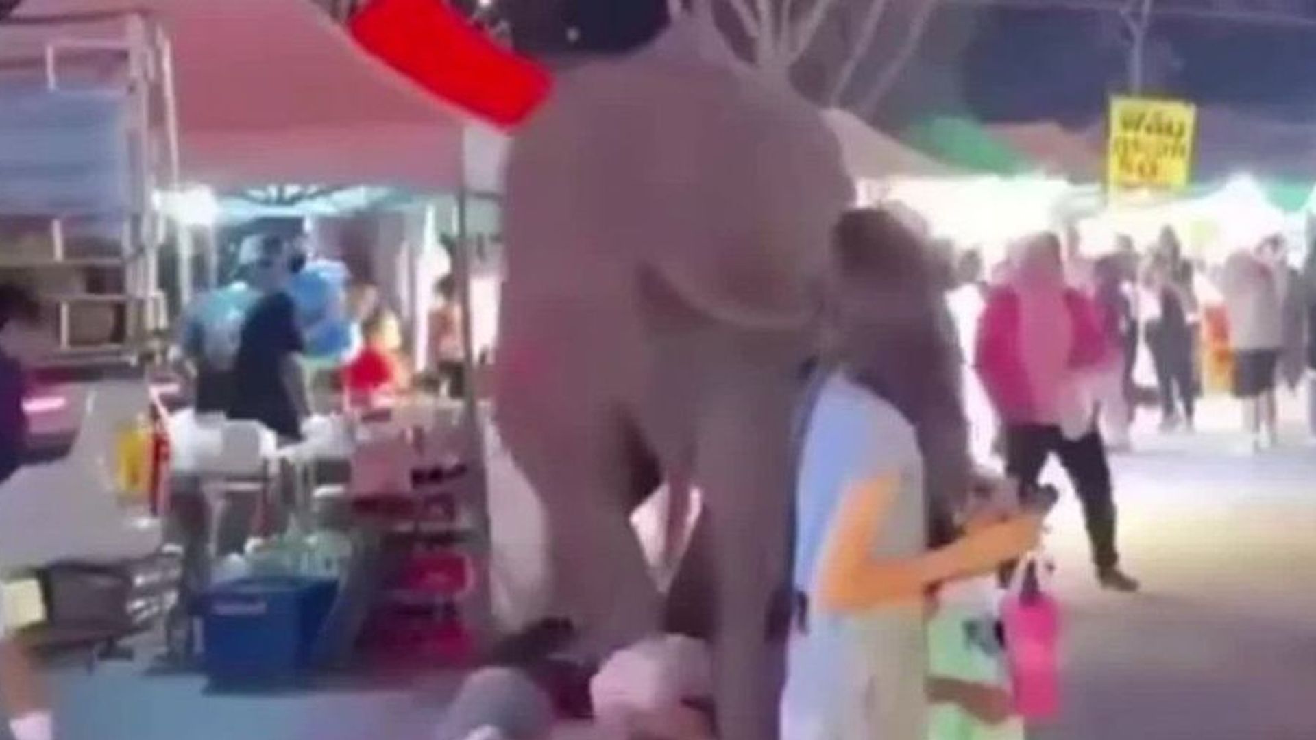 Ein Mann brachte unerlaubterweise seinen Elefanten auf ein Volksfest mit.