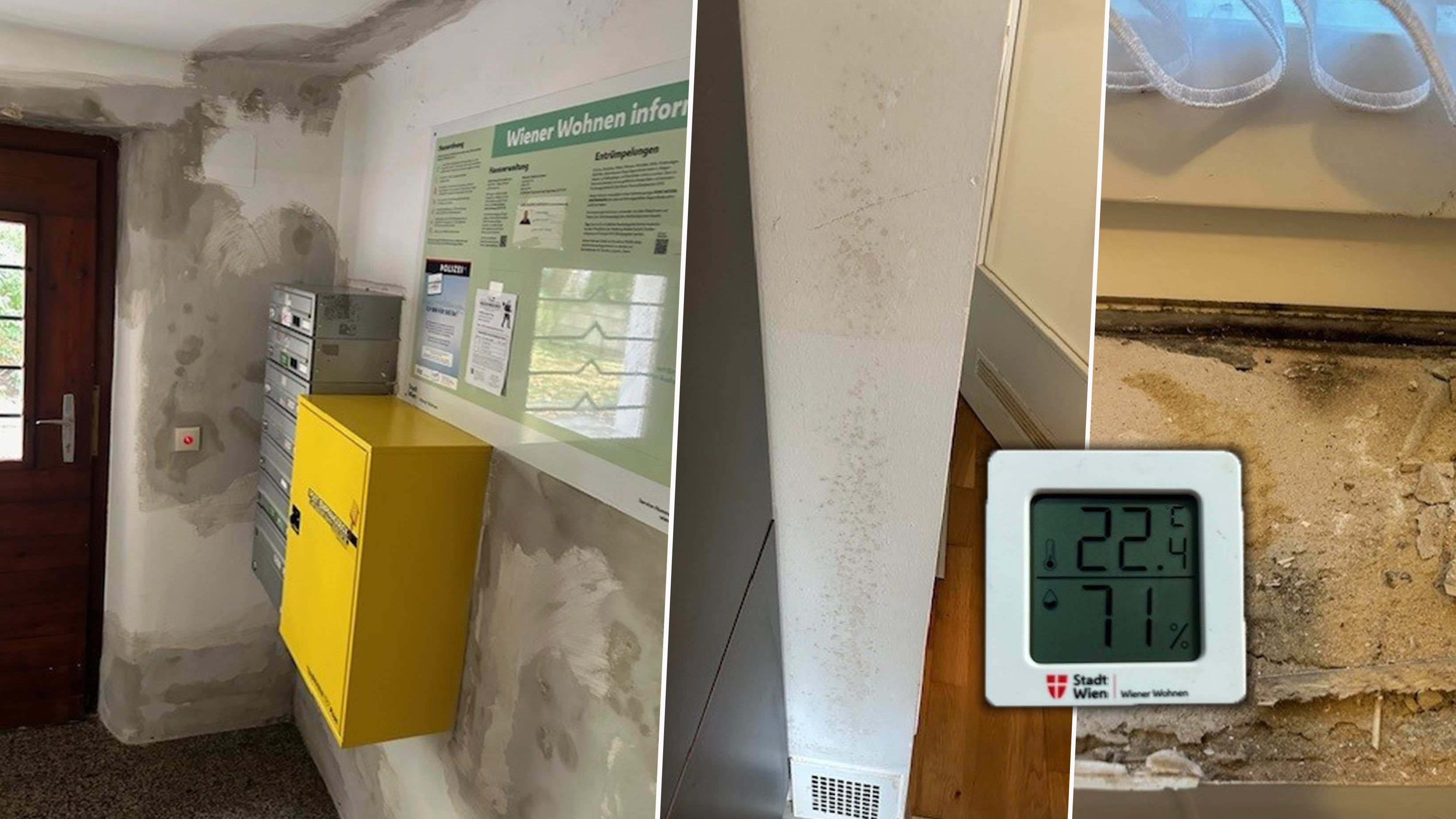 Schimmelfalle in Wien-Hietzing! Brigitte muss die Wohnung verlassen.