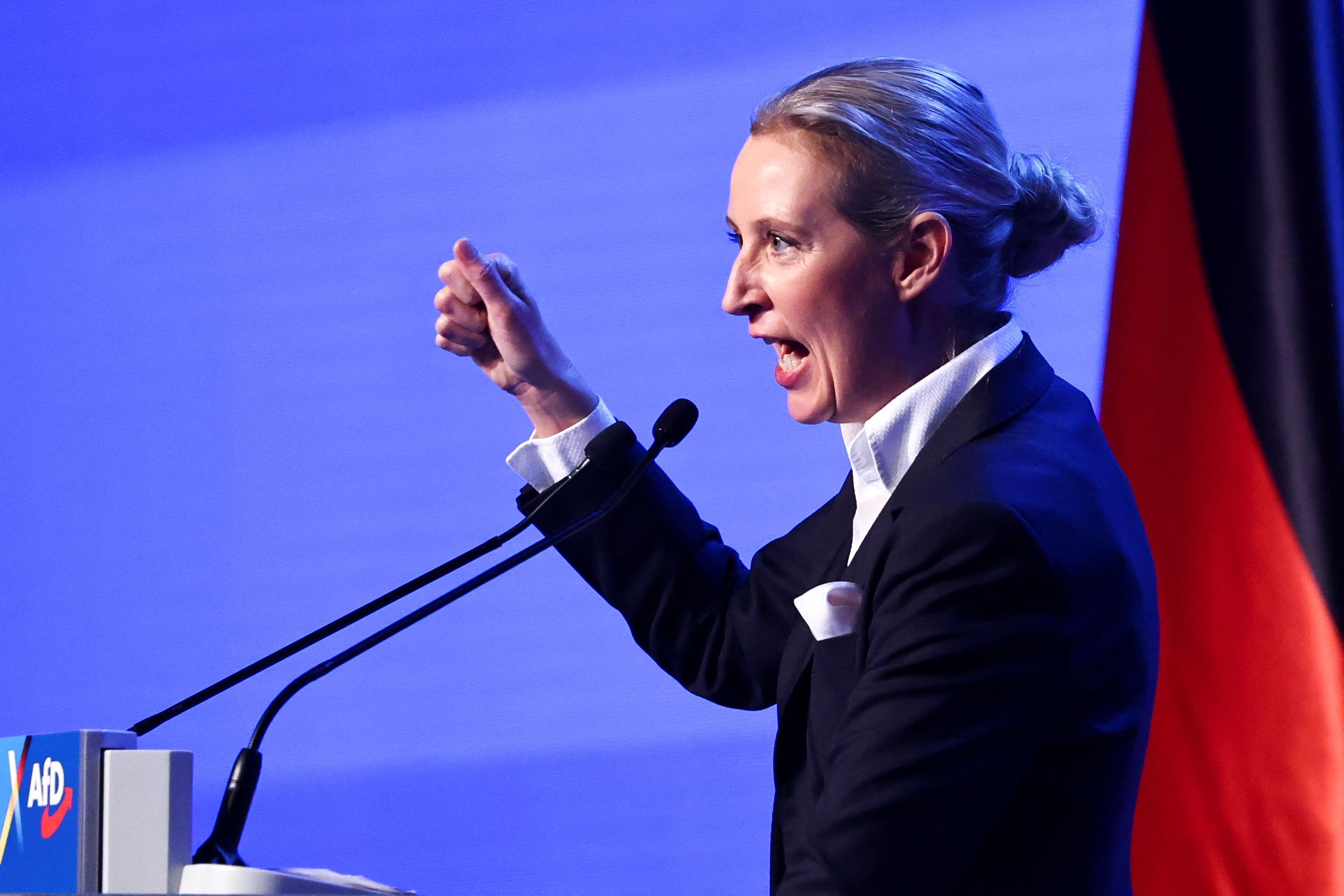 Die AfD könnte am Sonntag fast 10 Prozent zulegen.