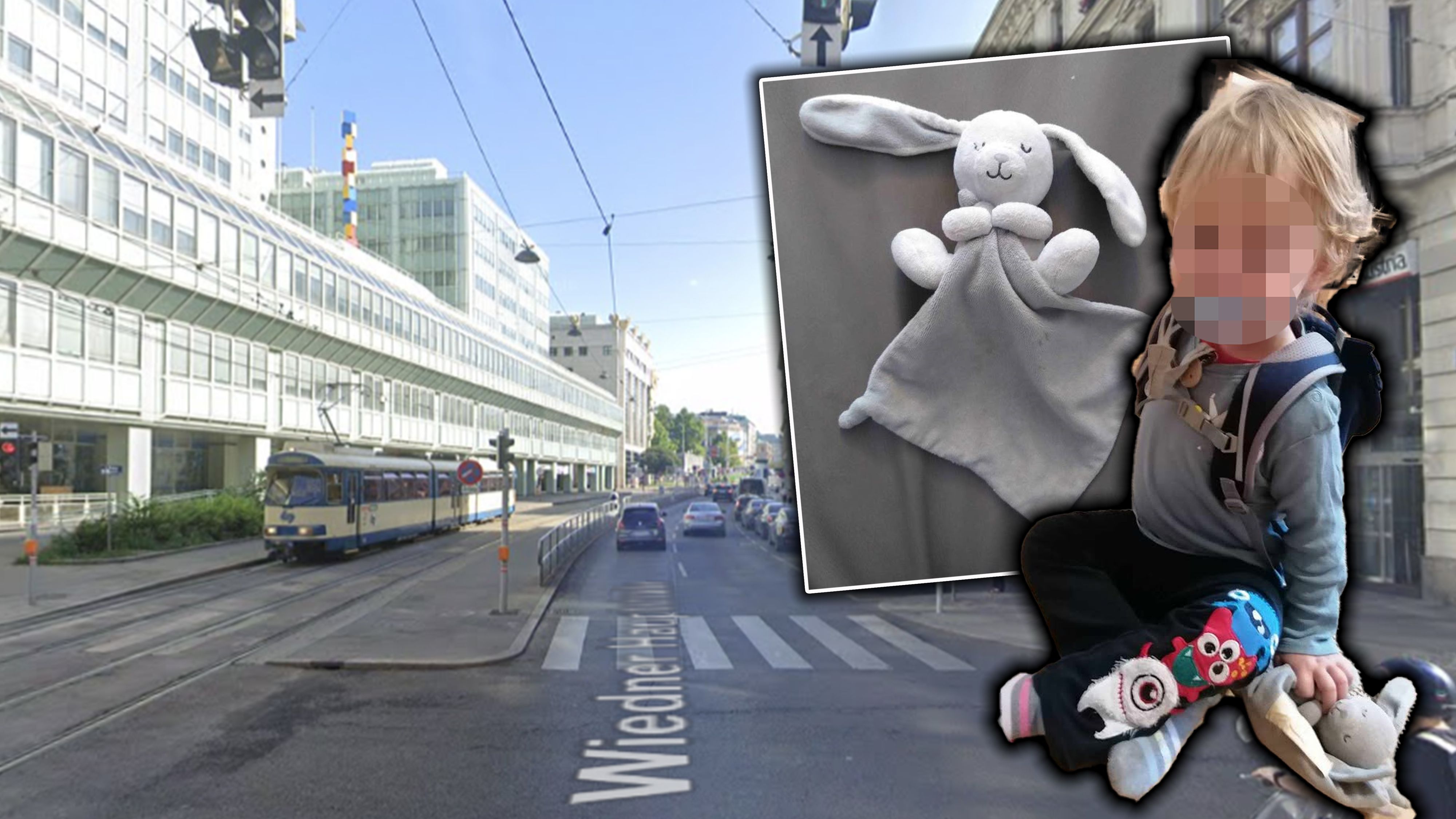 Wer hat diesen süßen Schmusehasen gesehen?