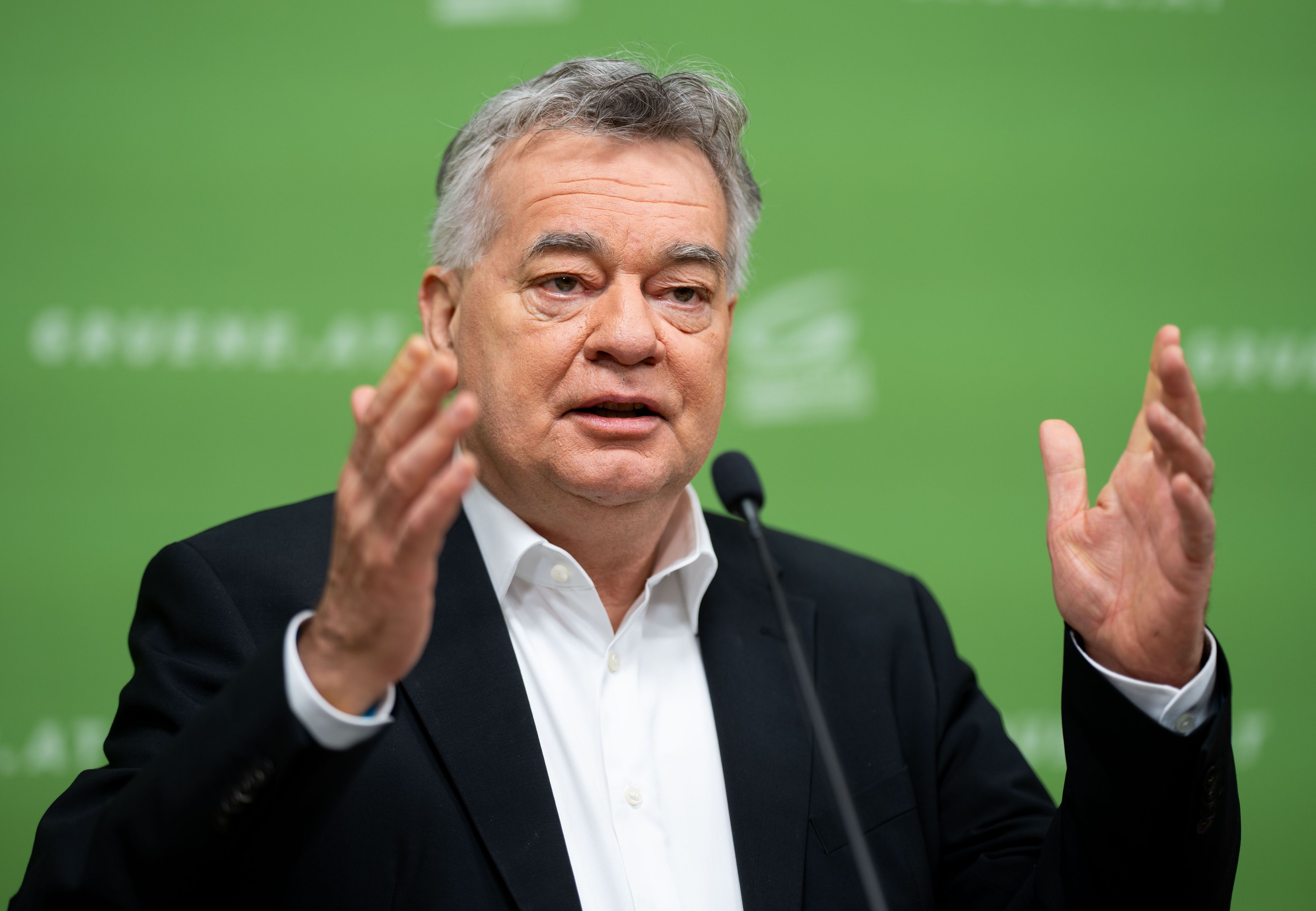 Grünen-Chef Werner Kogler wünscht der neuen Regierung 