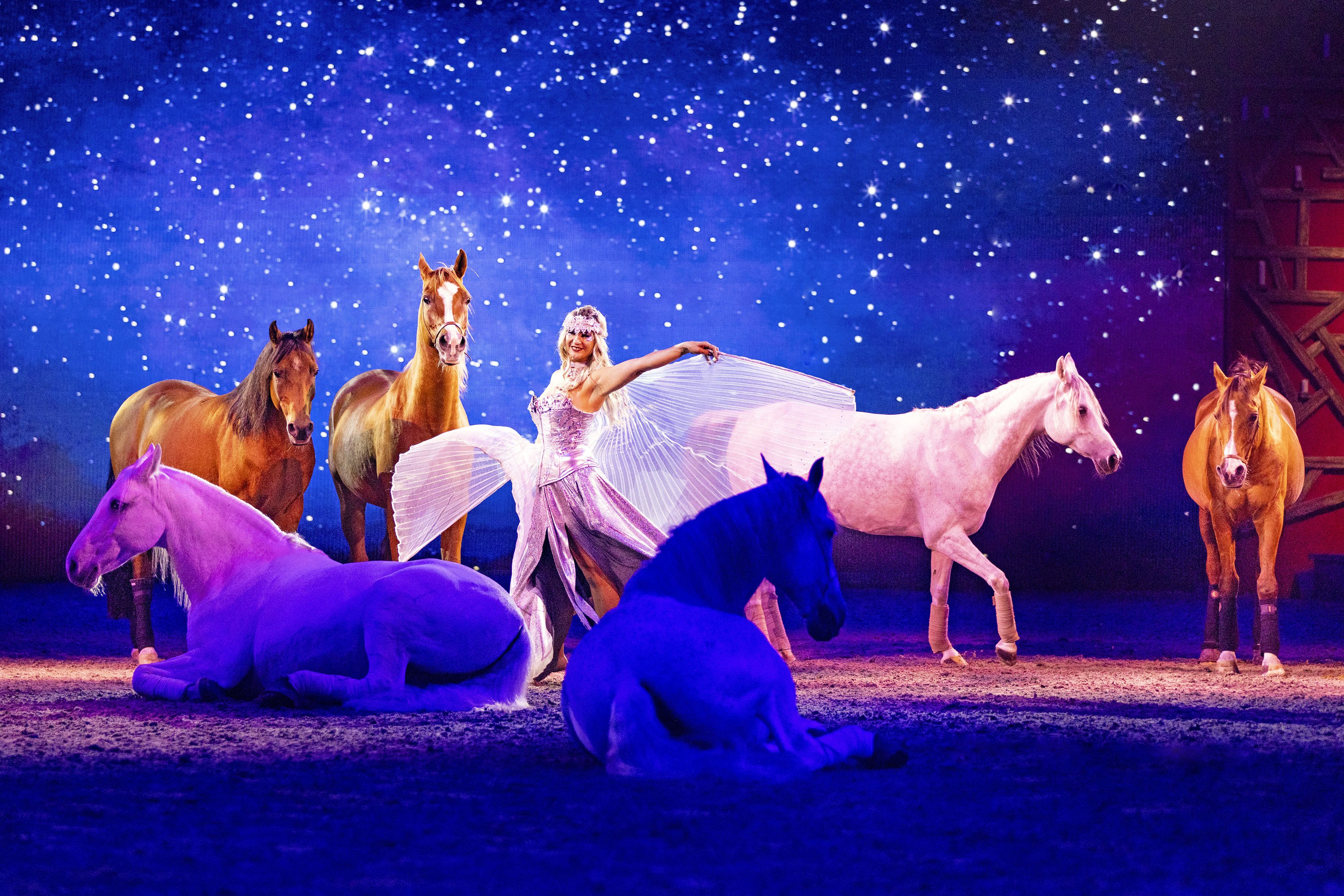 Auch bei der neuen Reise der größten Pferdeshow Europas wird man von den majestätischen Tieren verzaubert.