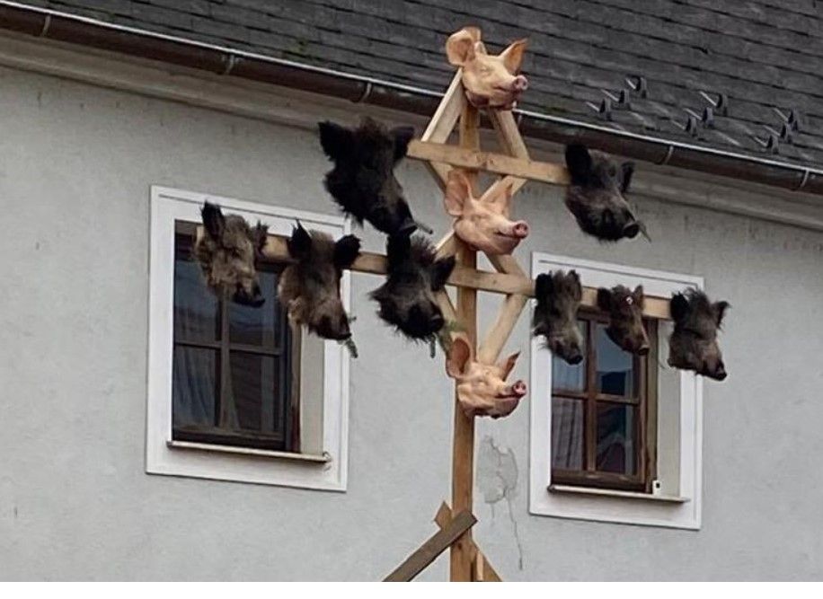 Heute.at - Verwesen öffentlich – Wirbel um Kreuz mit Tierköpfen