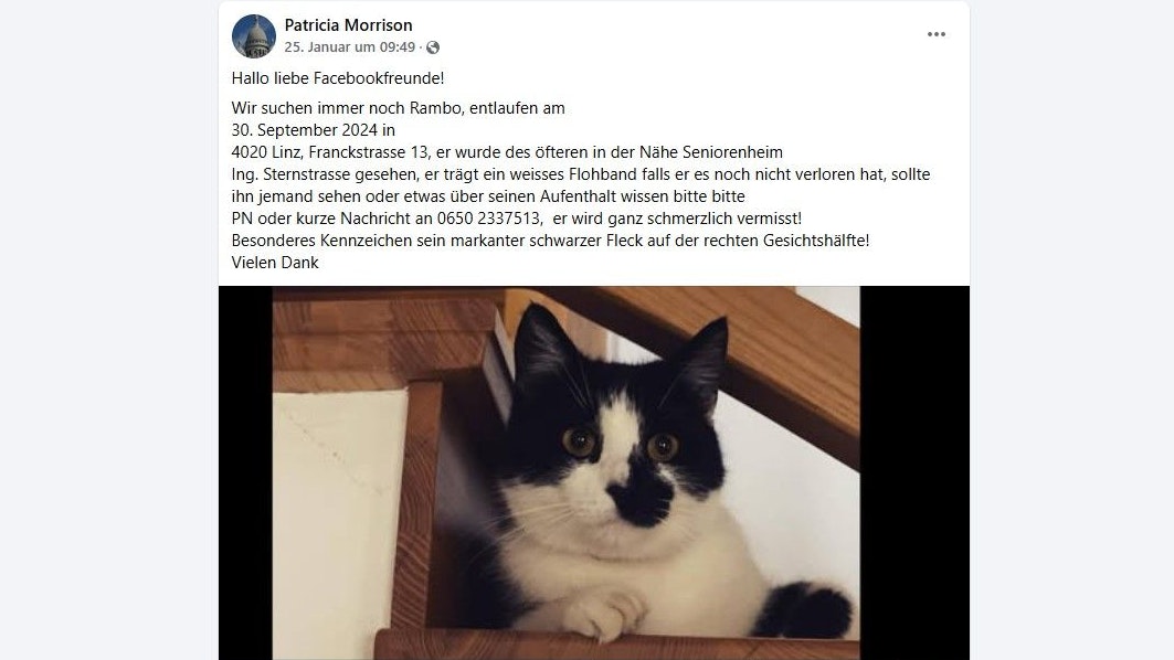 Auch durch den Facebook-Aufruf in einer Gruppe gab es bisher leider keinen Erfolg.
