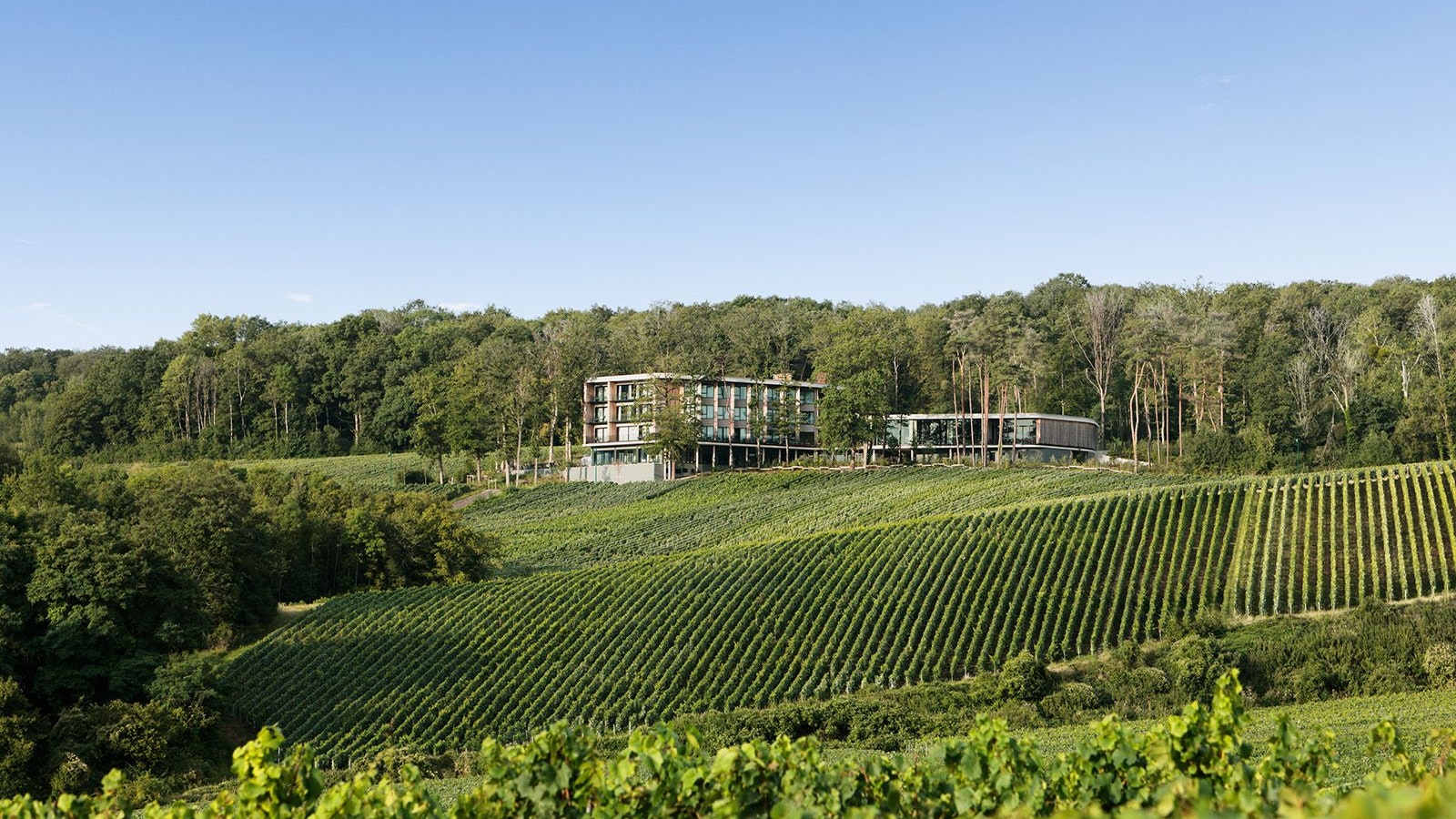 Das 2022 eröffnete Loisium Wine & Spa Hotel Champagne war erst der erste Schritt der internationalen Wachstumsstrategie der Loisium-Hotelgruppe.