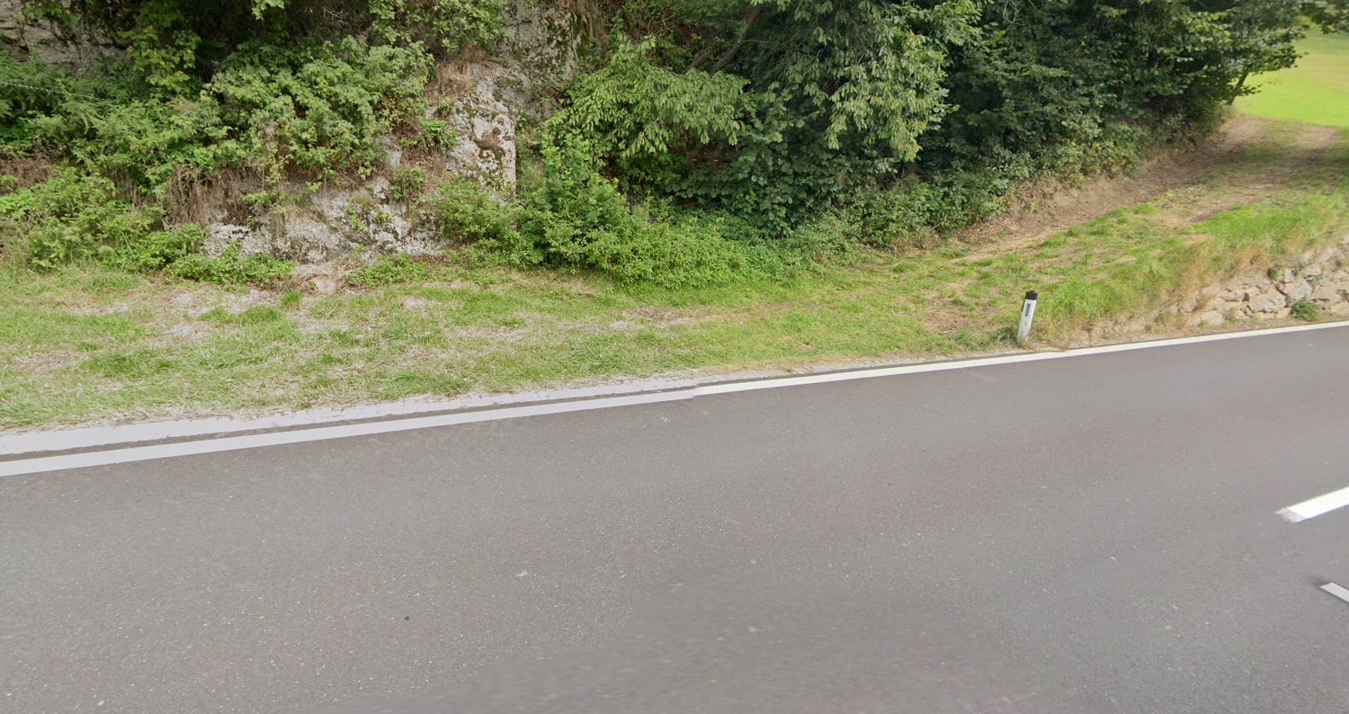 Die Wahnsinnsfahrt wurde schließlich auf der Gutauer Straße gestoppt. (Archivbild)