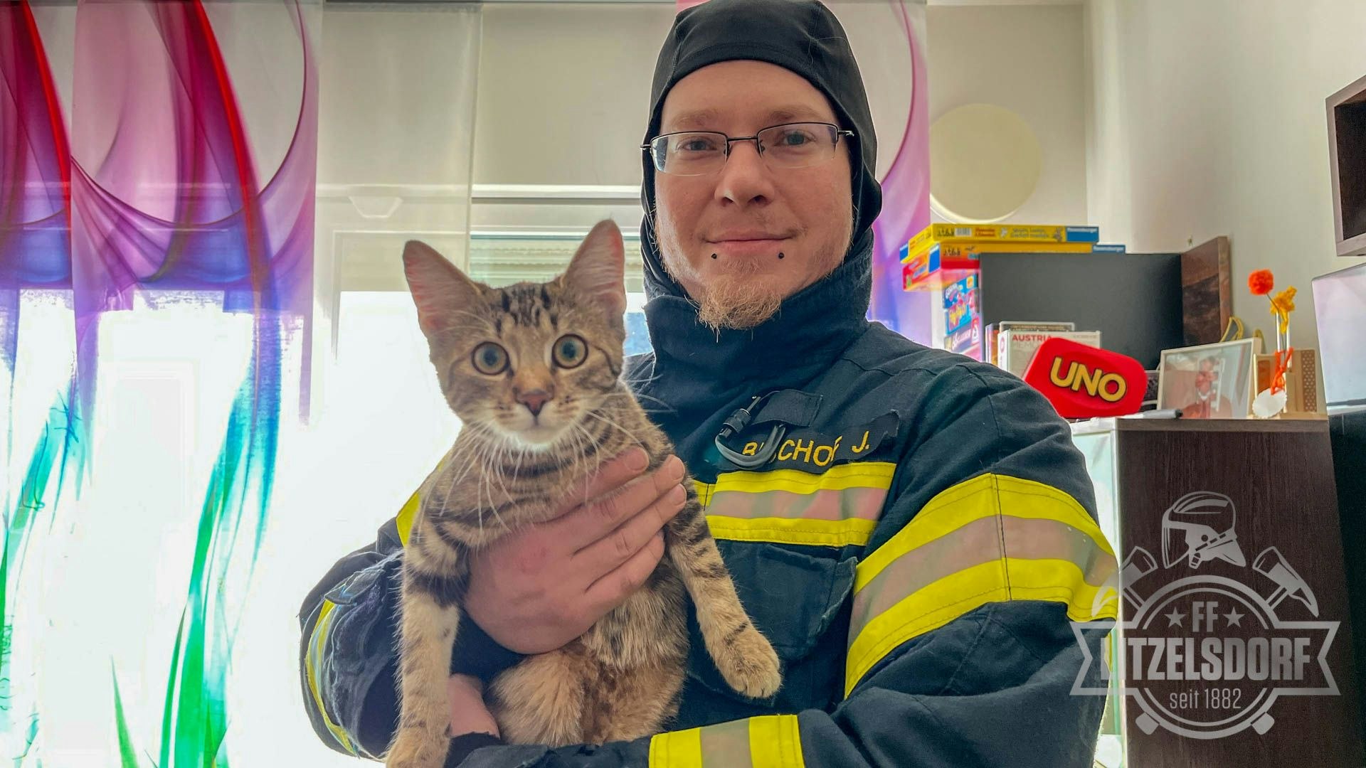Heute.at - Wollte zu hoch hinaus – Kätzchen Mia saß auf Baum fest