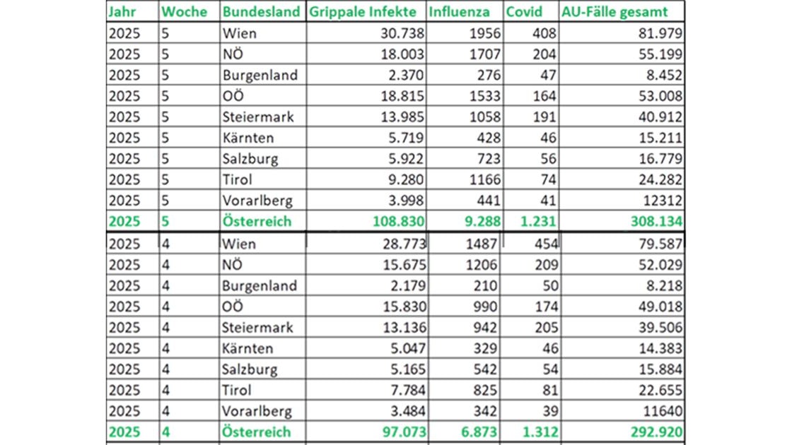 Wien und Niederösterreich sind die Grippe-Hotspots.