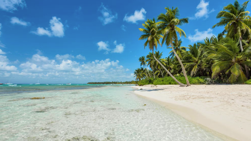 Das karibische Ferienparadies wurde für Mike Cameron und Tamra Masterman zum finanziellen Horrortrip.