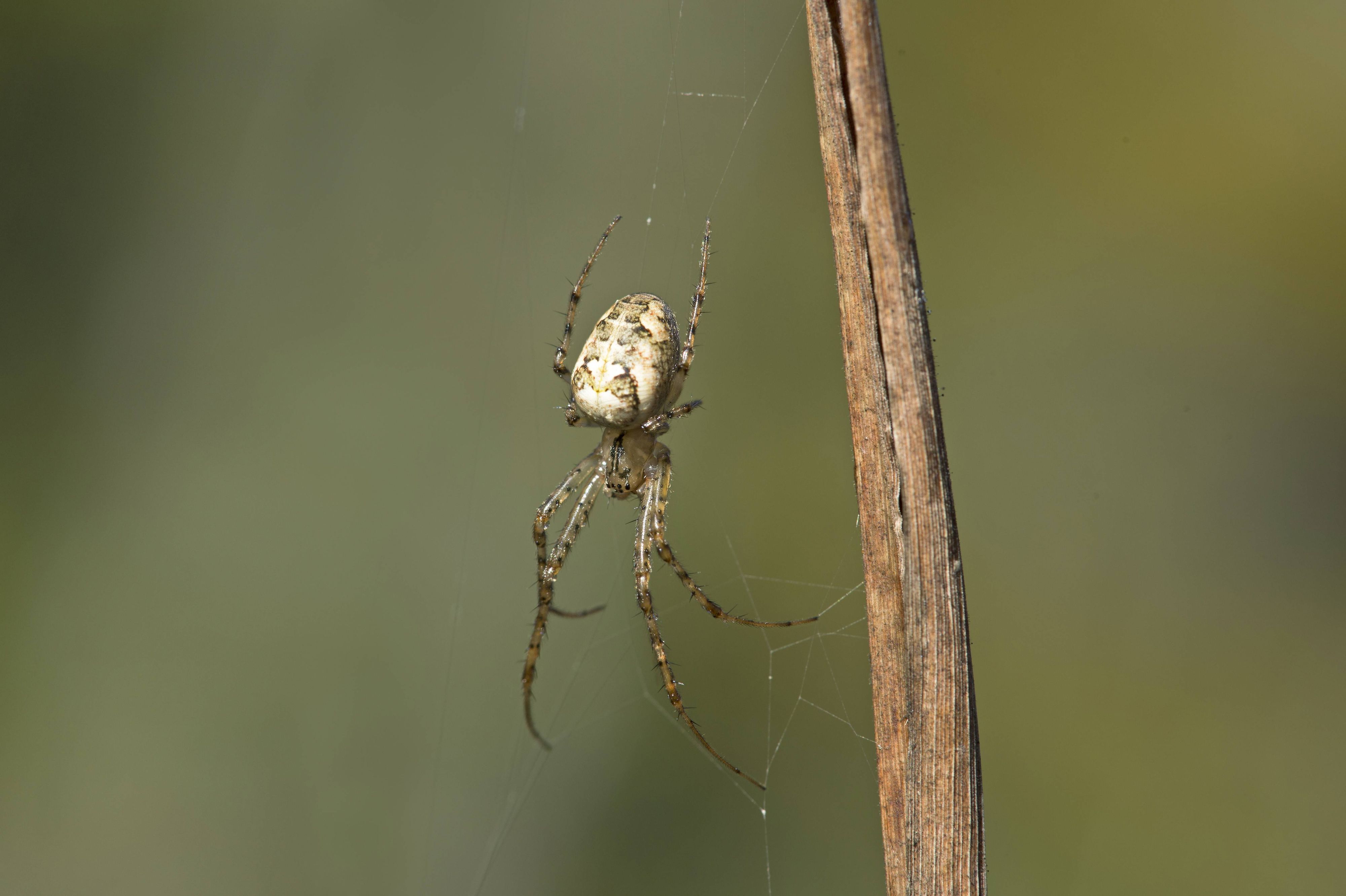 Vor allem sogenannte 