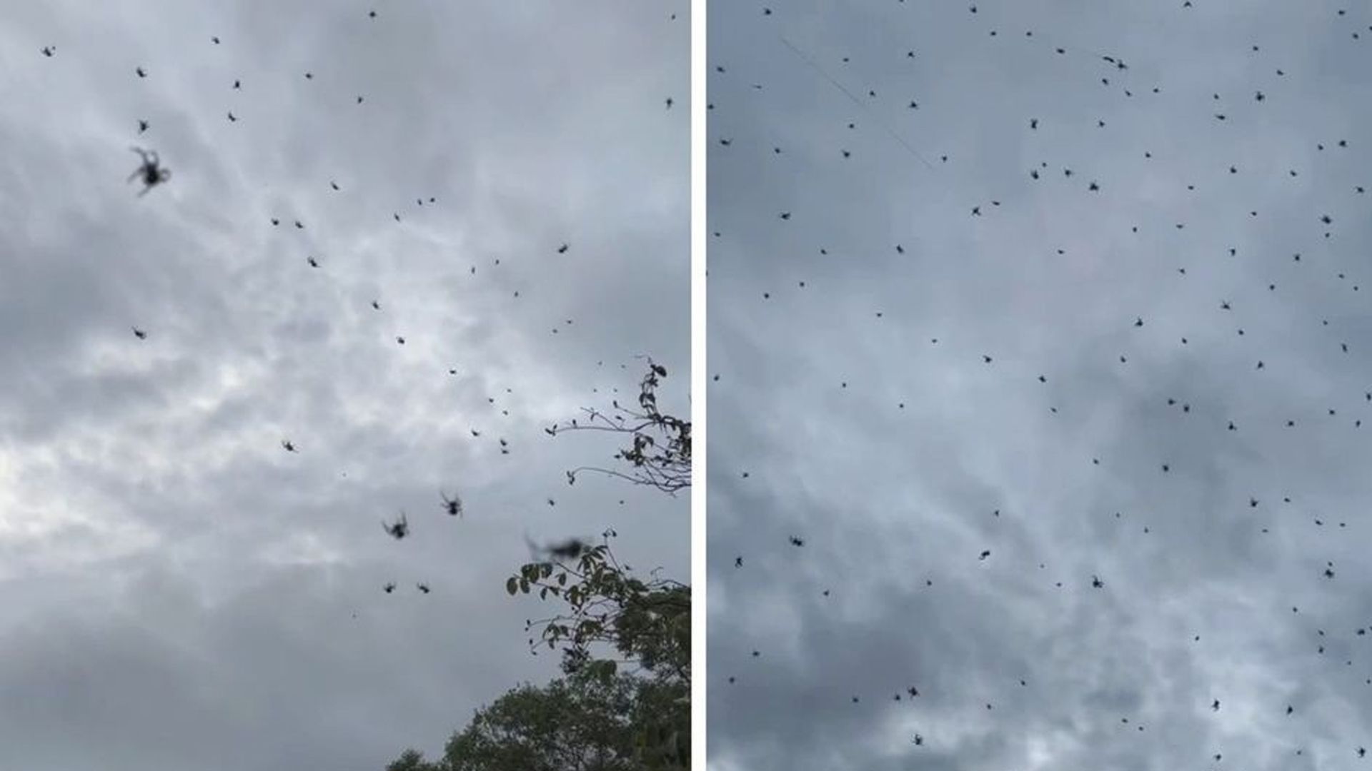 Auf diesen Anblick können bestimmt einige Menschen verzichten.