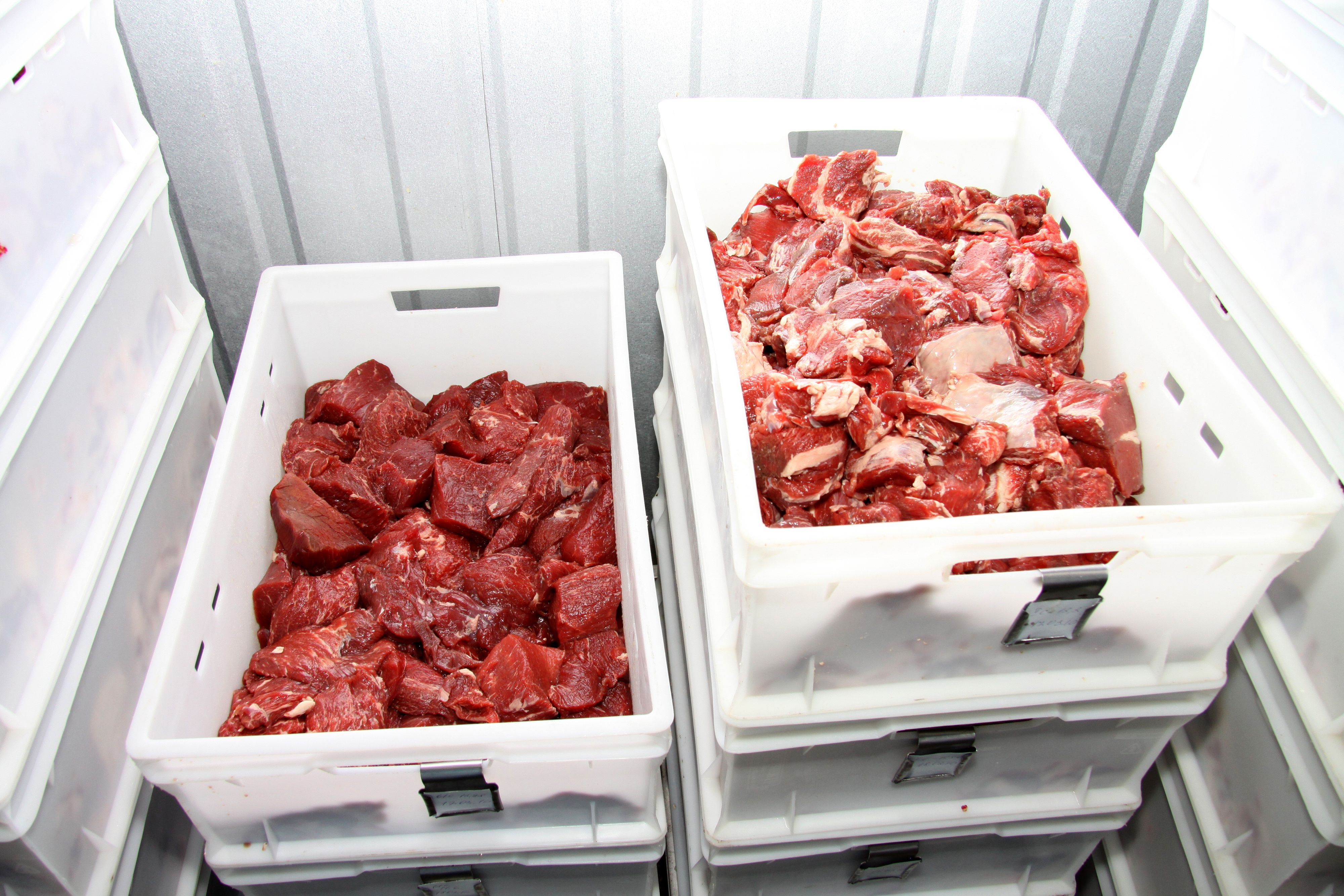 Der Lkw soll zwei Tonnen Wurst- und Fleischwaren ohne Kühlung transportiert haben.