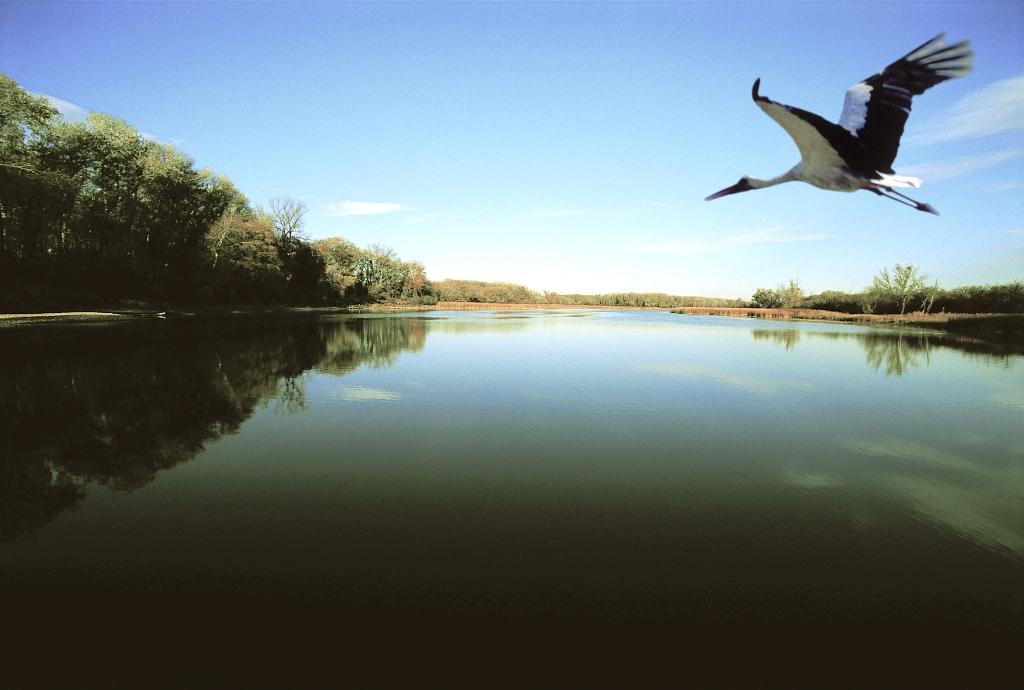 Baggerlärm statt stille Idylle: Das neue Gutachten zum geplanten Lobautunnel erhitzt die Gemüter.