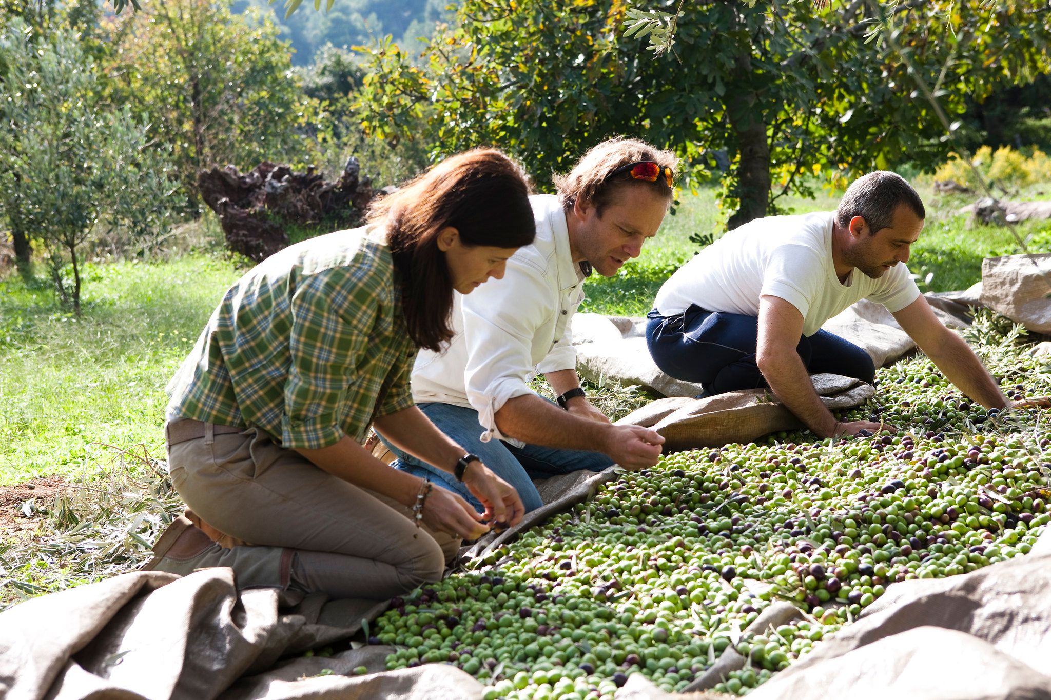 Margit und Richard Schweger bei der Ernte