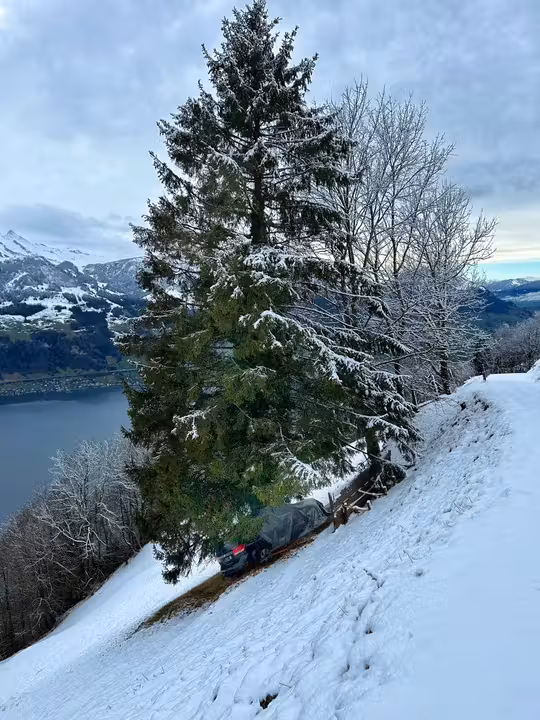 Gersau: Hoch über dem Vierwaldstättersee ist das Auto am Abhang gesichert.
