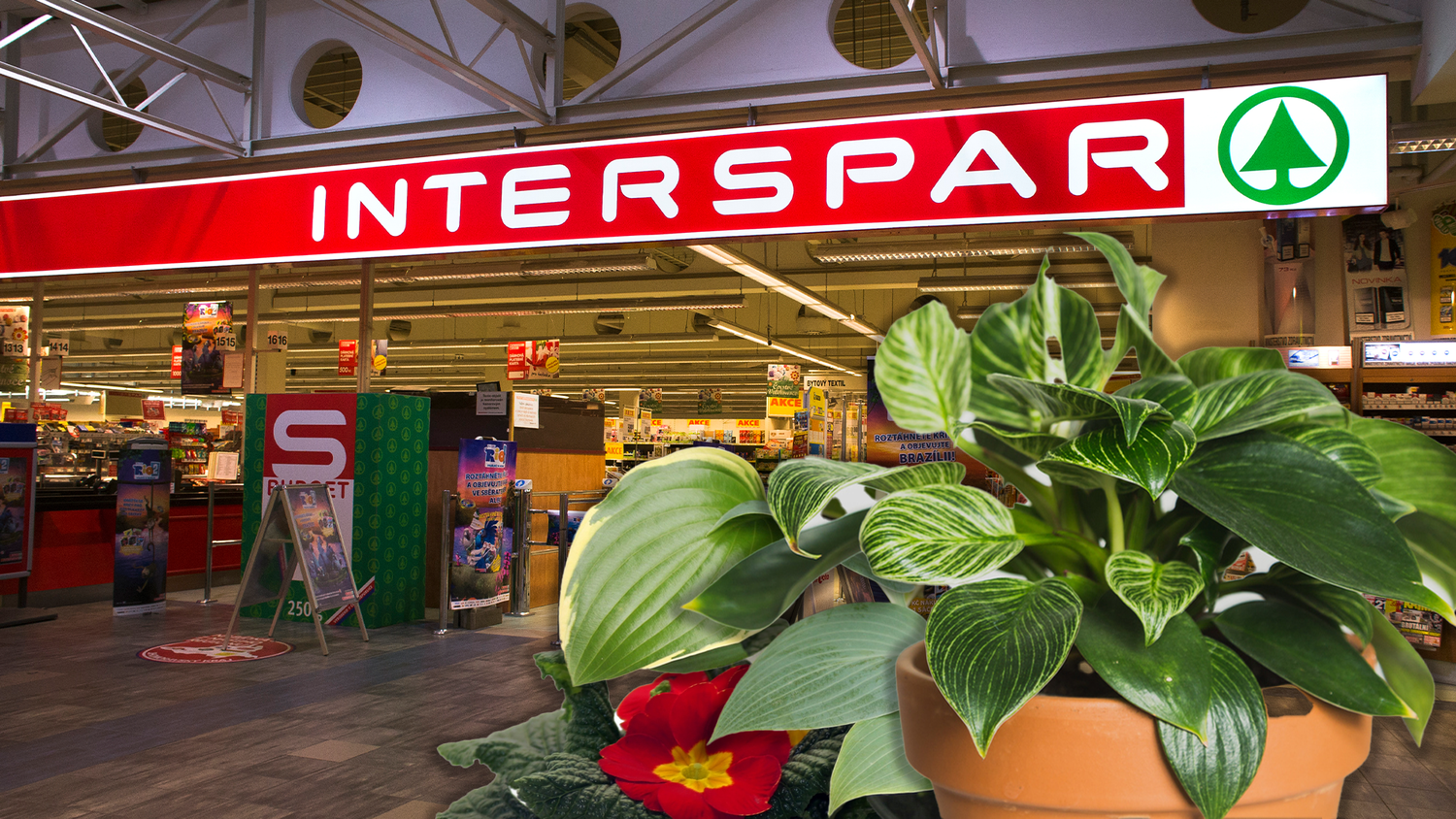 Im Rahmen der neuen Aktion gibt es bei Interspar ab sofort 