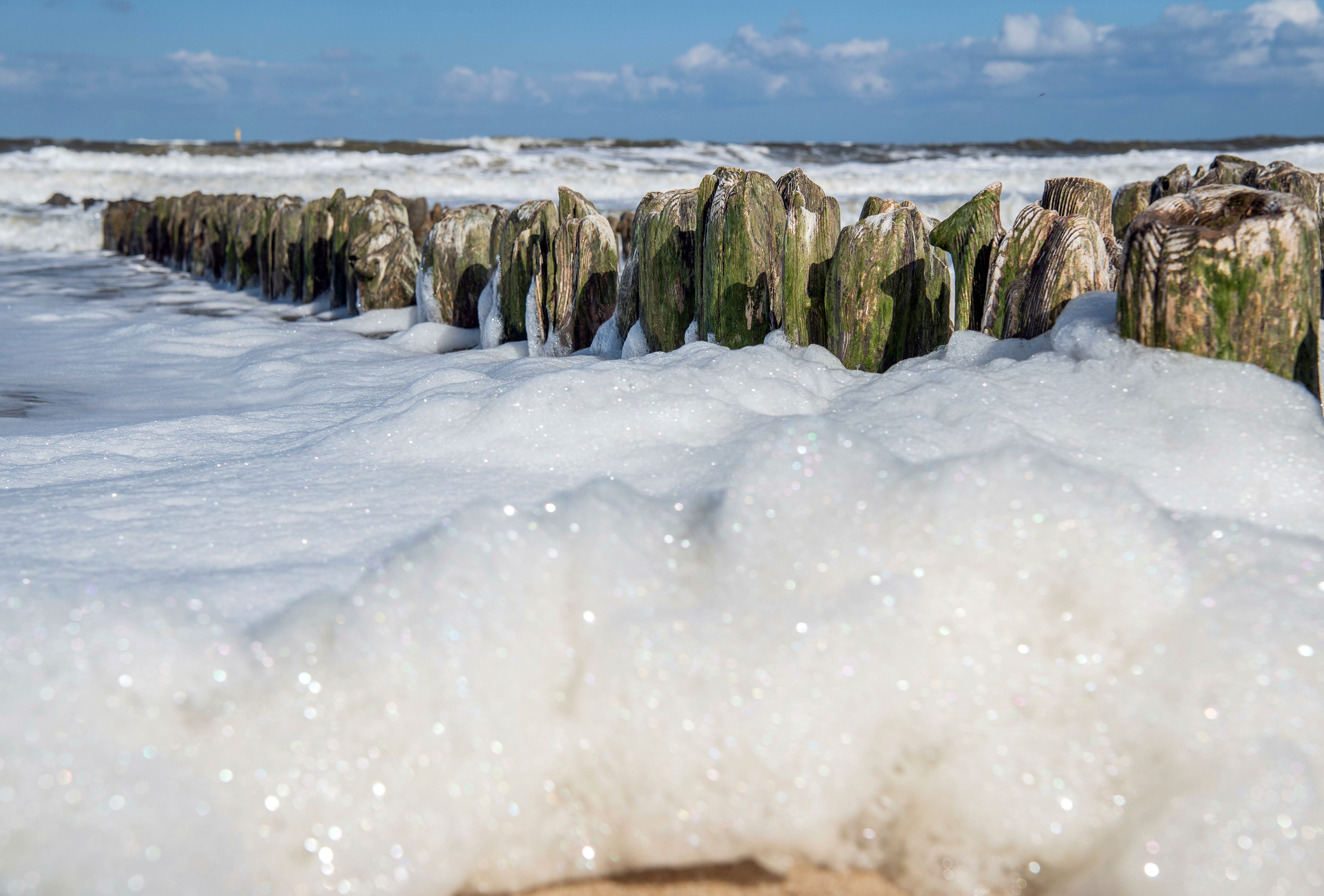 Keine Schaumparty! Vom Meeresschaum an den Nord- und Ostseestränden sollte Abstand gehalten werden.